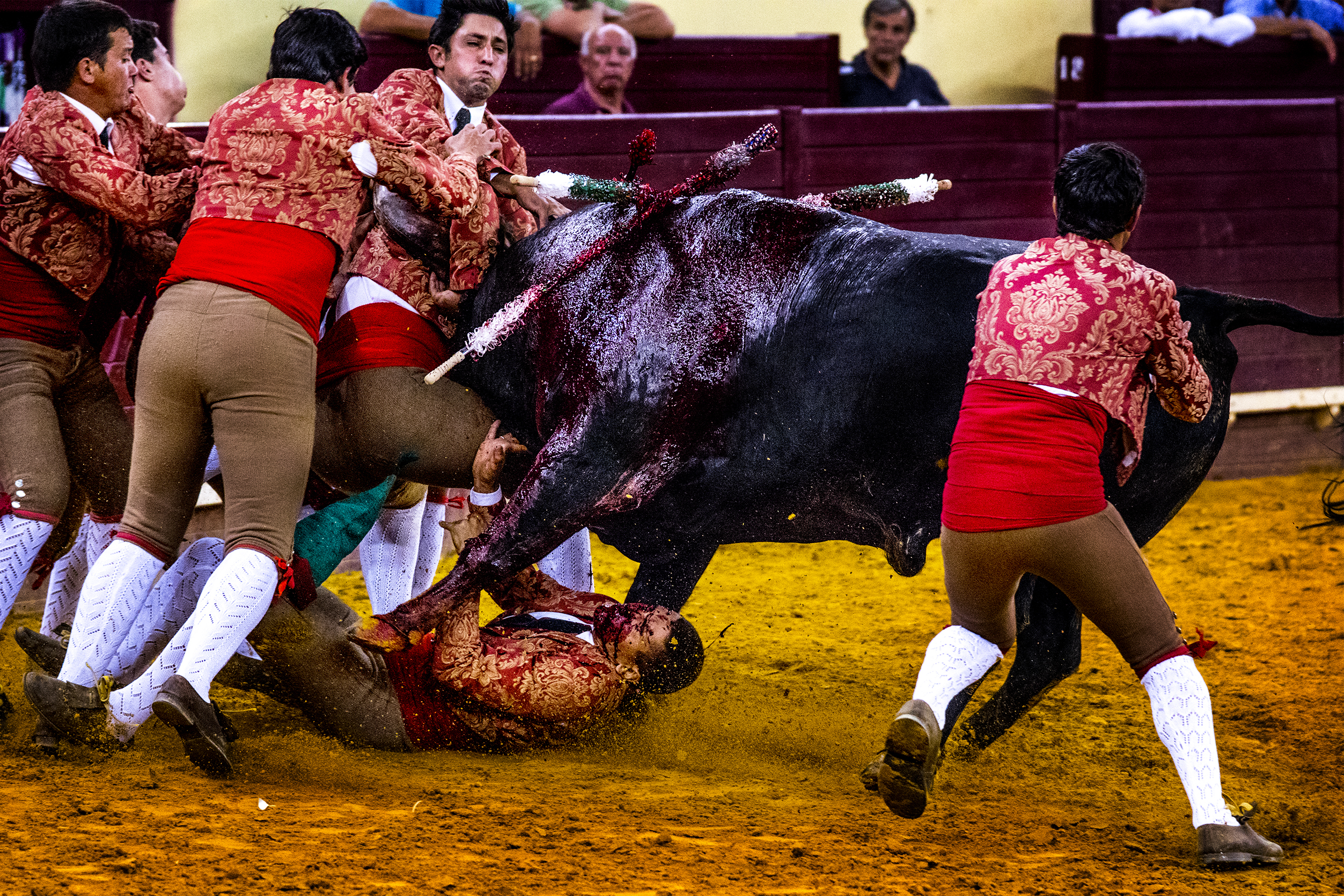 Orçamento participativo distingue tauromaquia. Projeto vai receber 200 mil euros