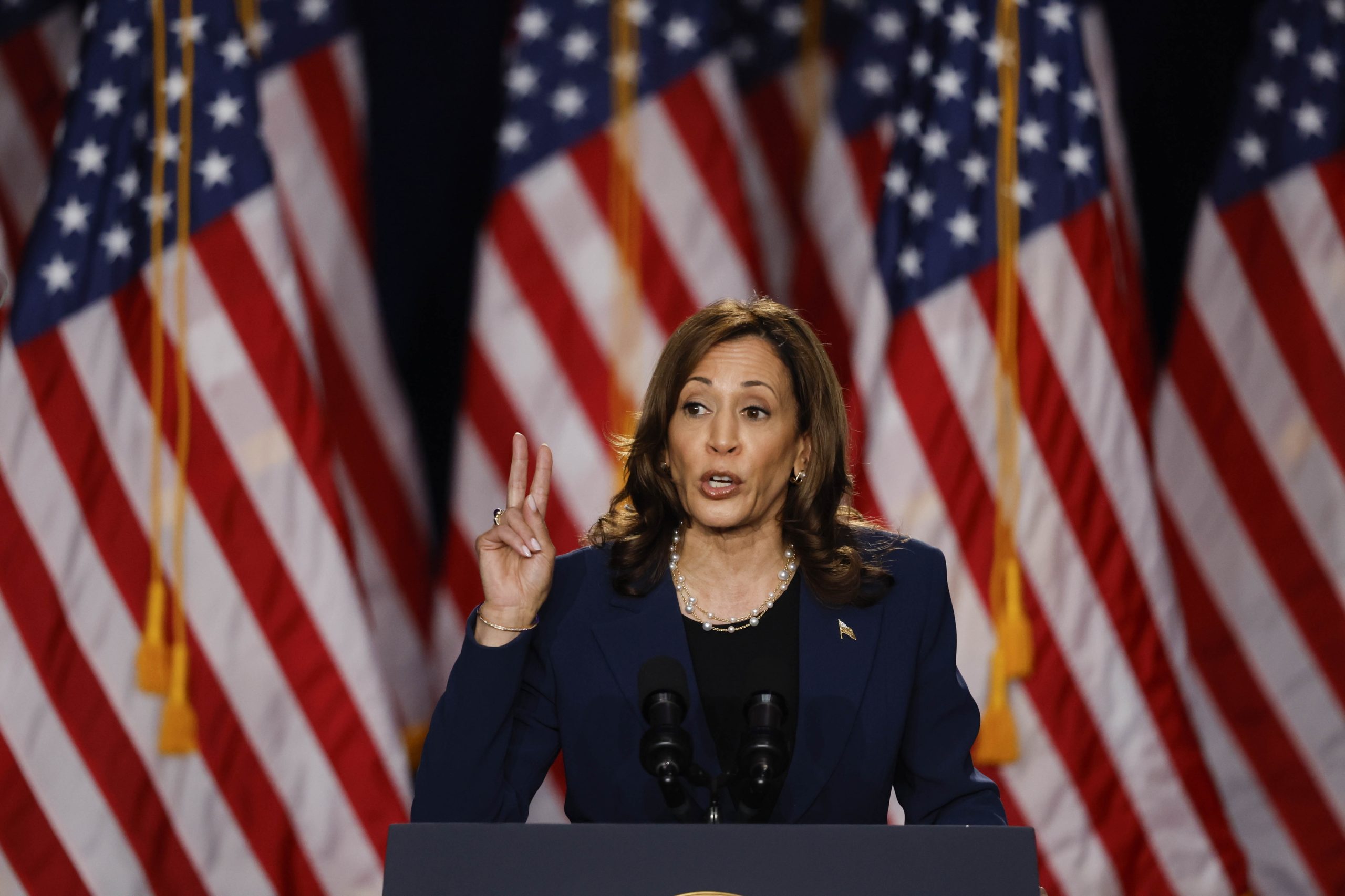 Kamala Harris pede votos para evitar um futuro de “caos, medo e ódio” com Trump