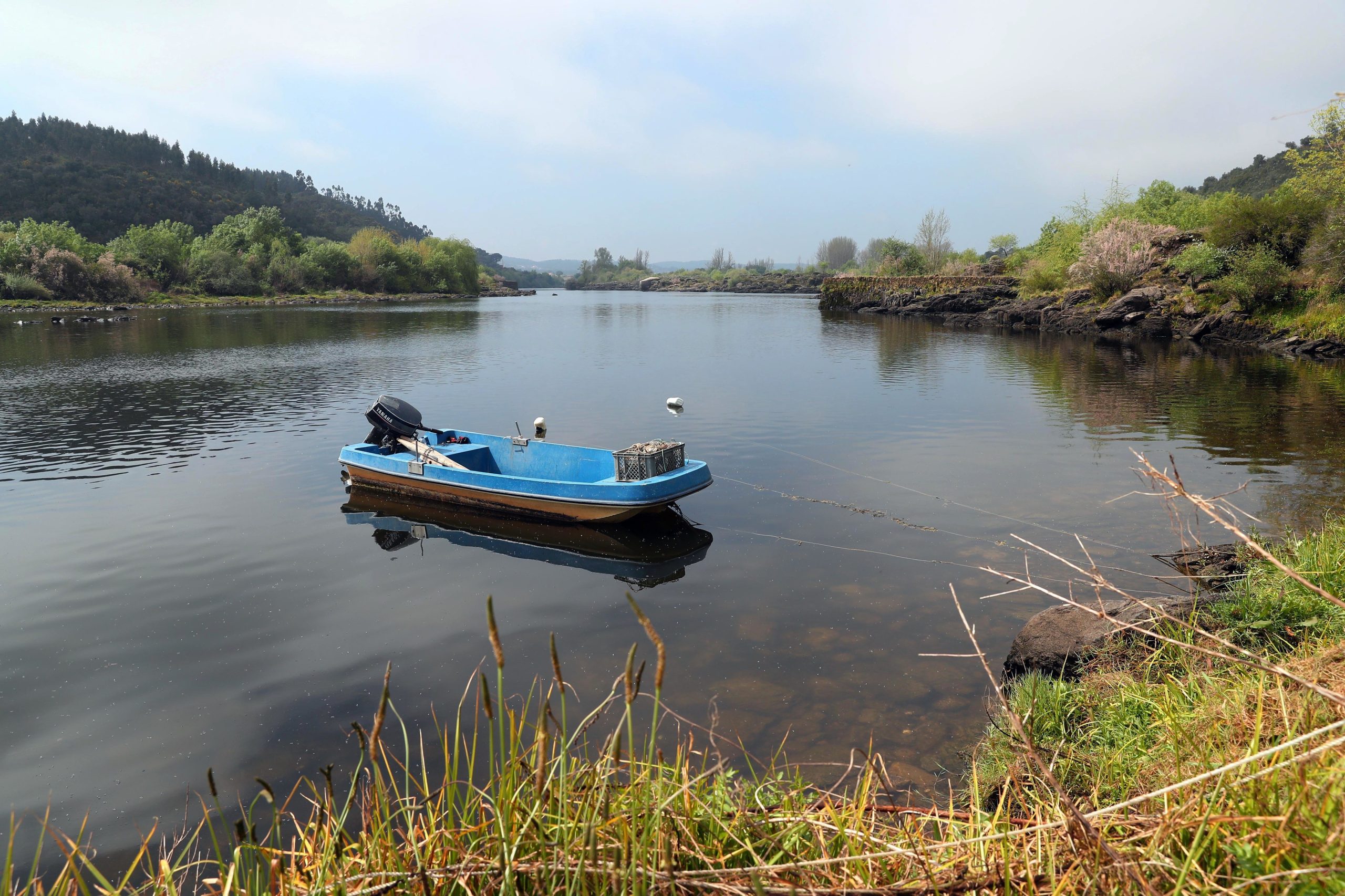Montijo. Movimento pelo Tejo propõe chumbo do Estudo de Impacto Ambiental