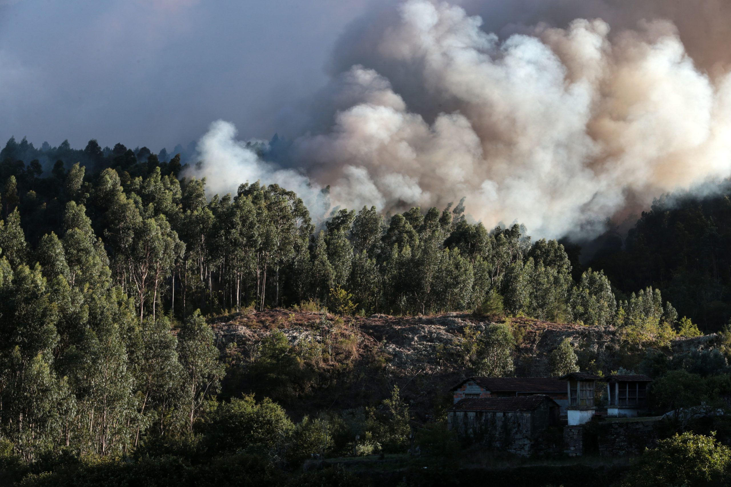 Incêndios: Vento dificulta combate às chamas em Oliveira de Frades