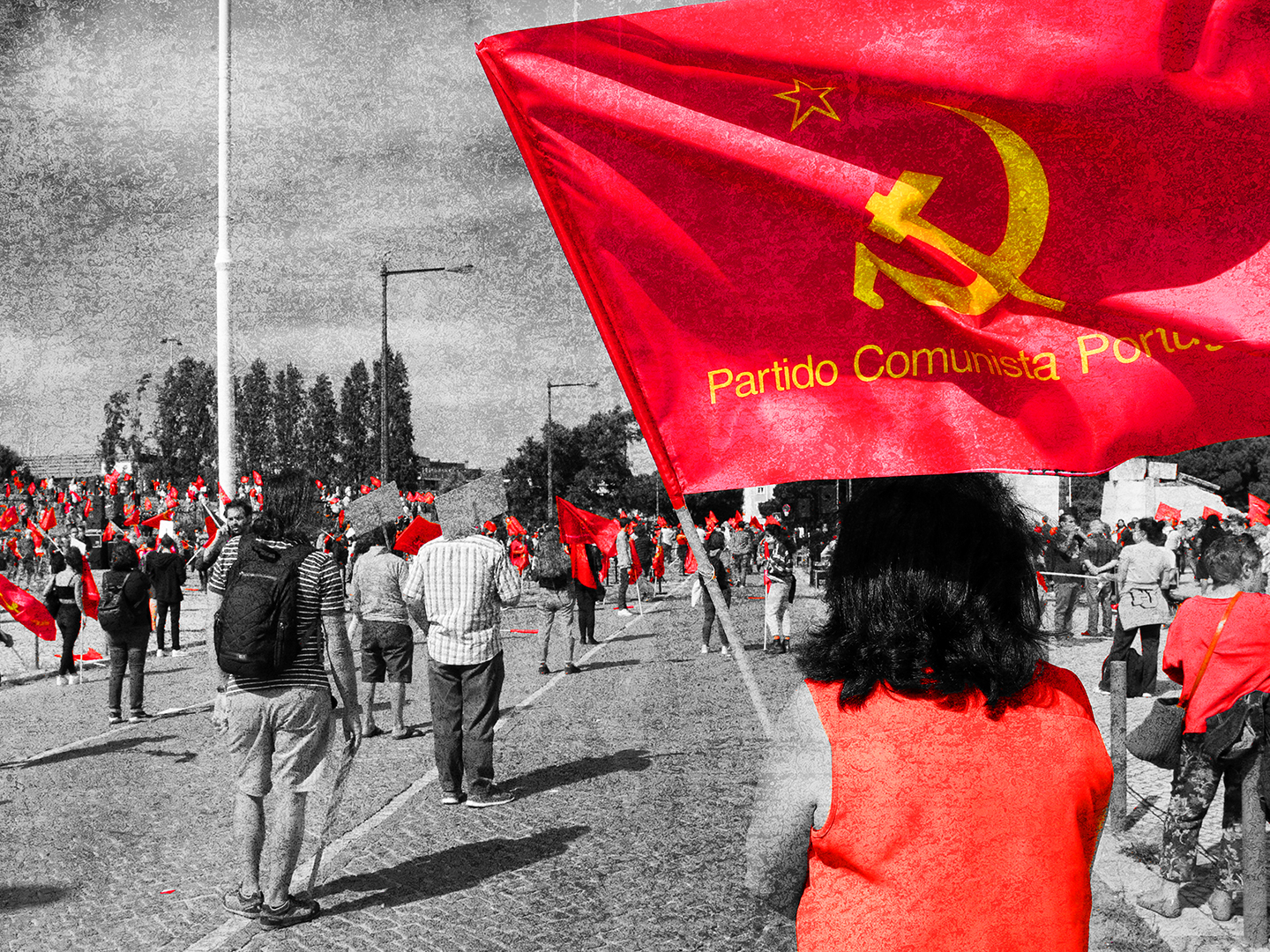 PCP, o partido que os militantes tratam por tu