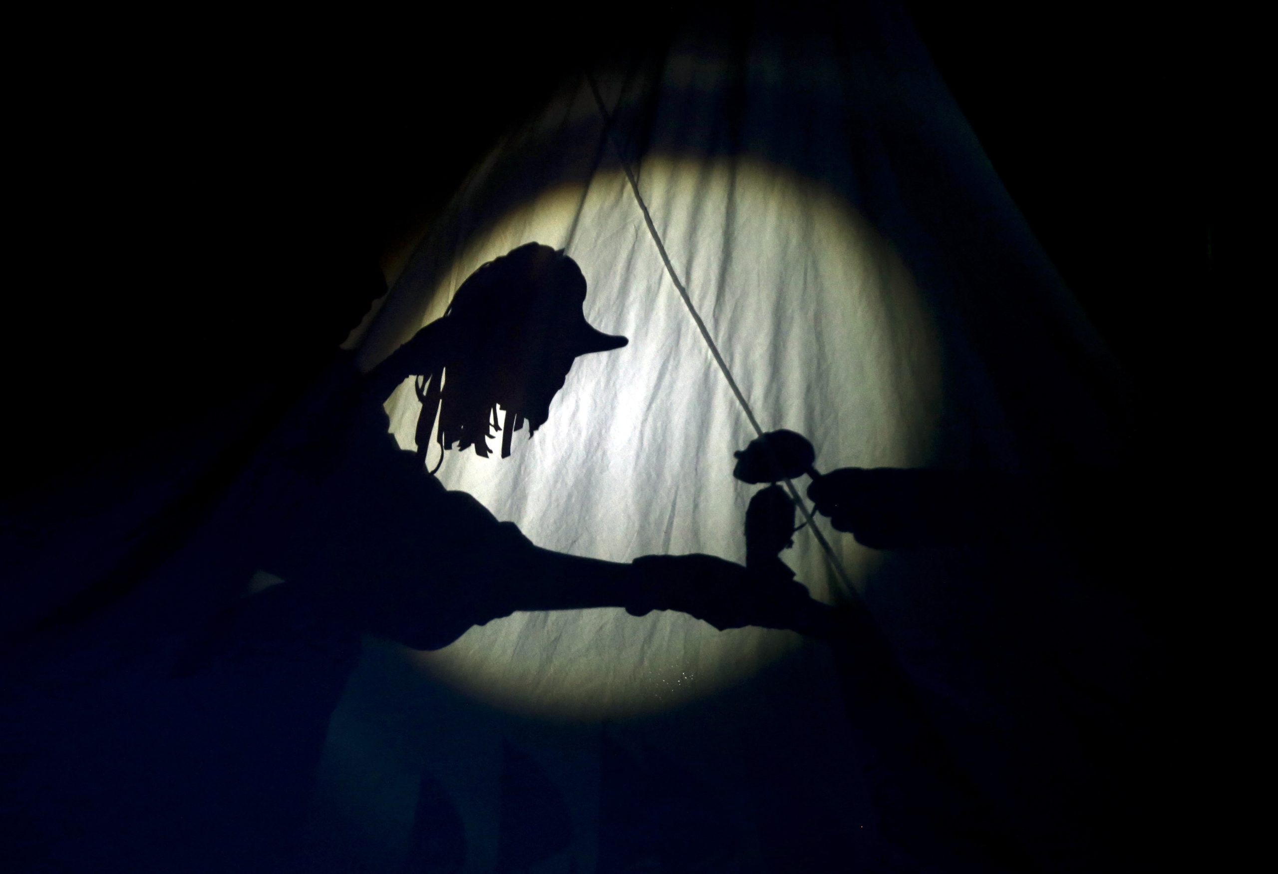 Festival Internacional de Marionetas do Porto regressa sob o mote “Perpétuos Efémeros”