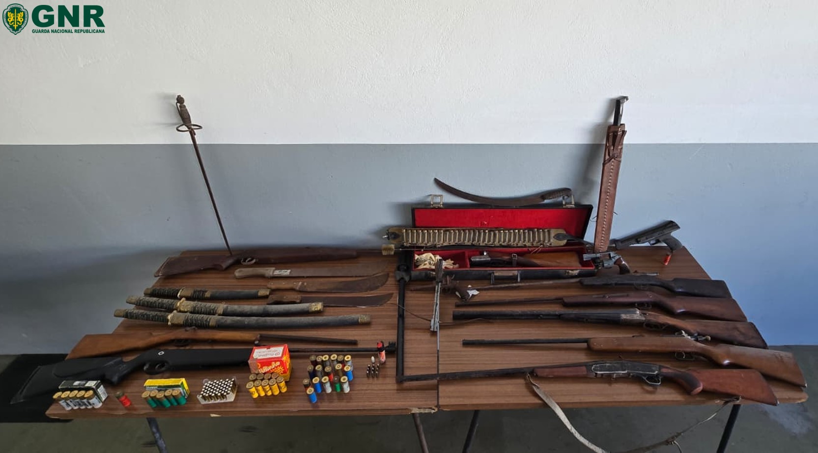 GNR apreende armas, munições e pele de leão em Ílhavo