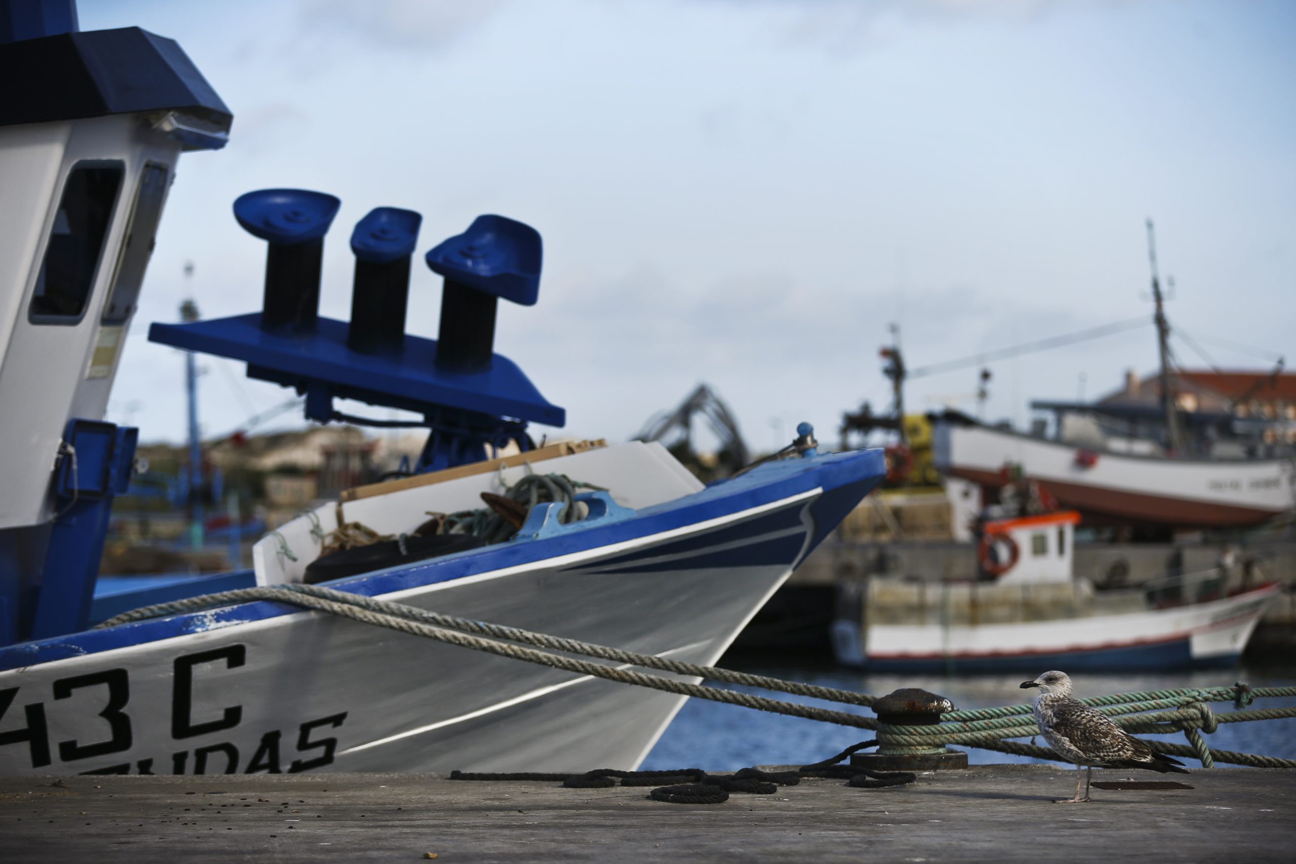 Mau tempo: Barra do Porto de Peniche reaberta à navegação