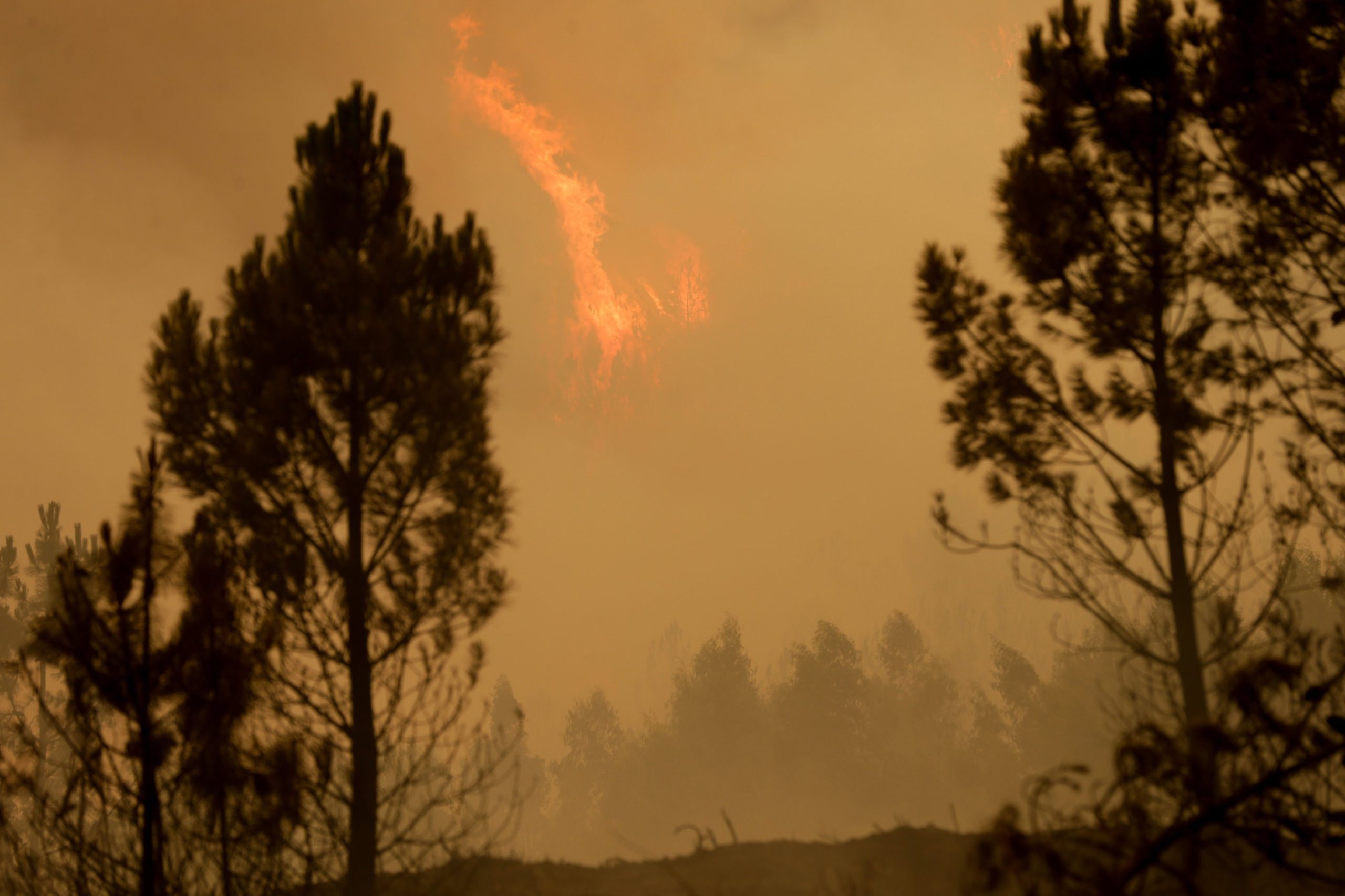 Fogo da Pampilhosa da Serra com quatro frentes ativas