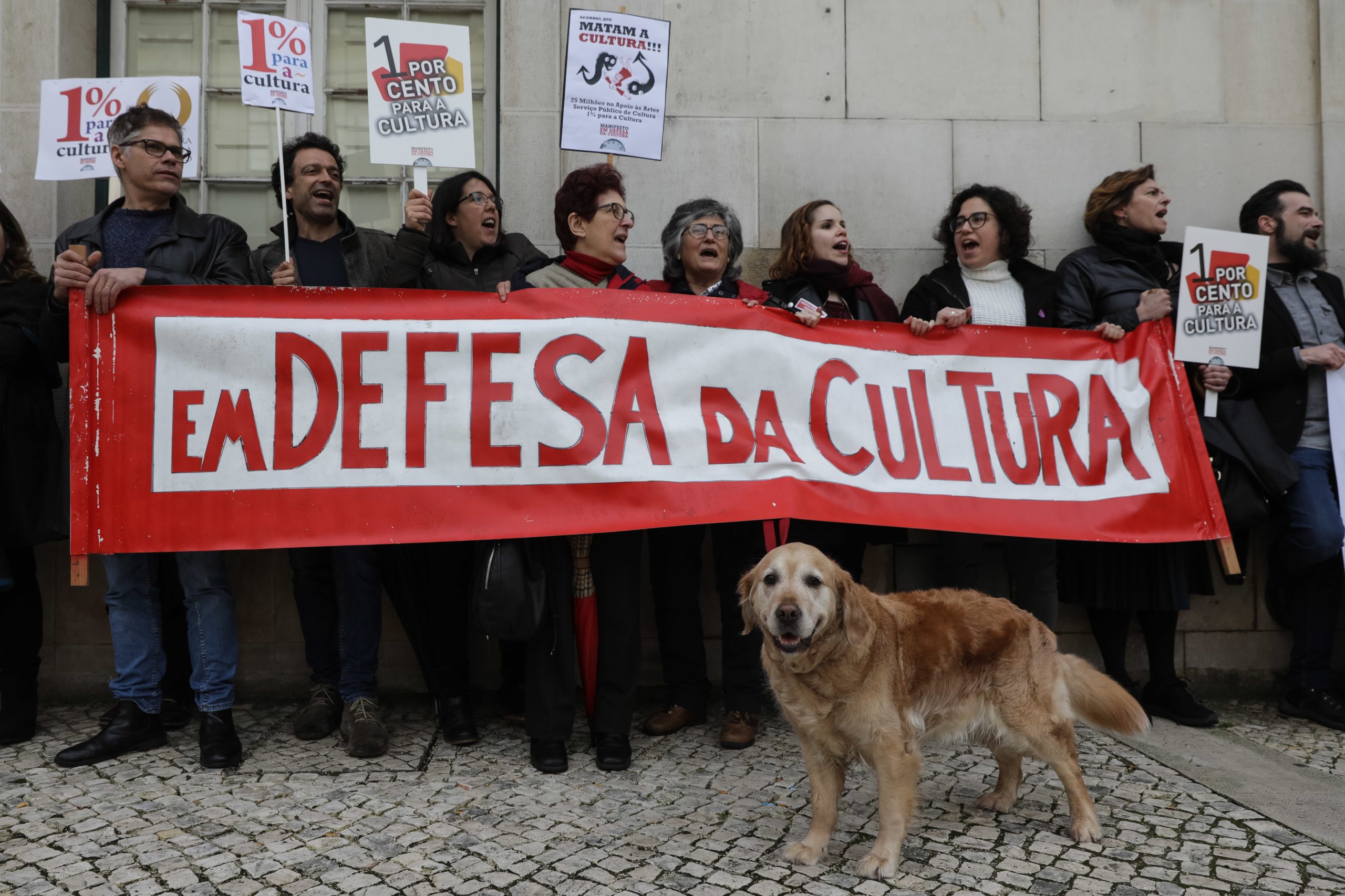 DGArtes: Setor quer combater subfinanciamento crónico e pôr fim a assimetrias regionais