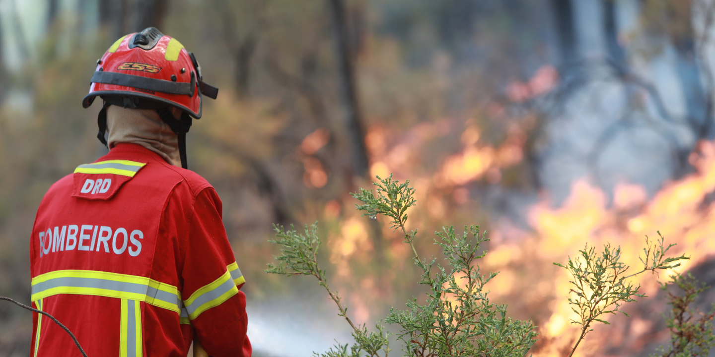 Incêndios: Homem de 78 anos detido por fogo em Vila Real