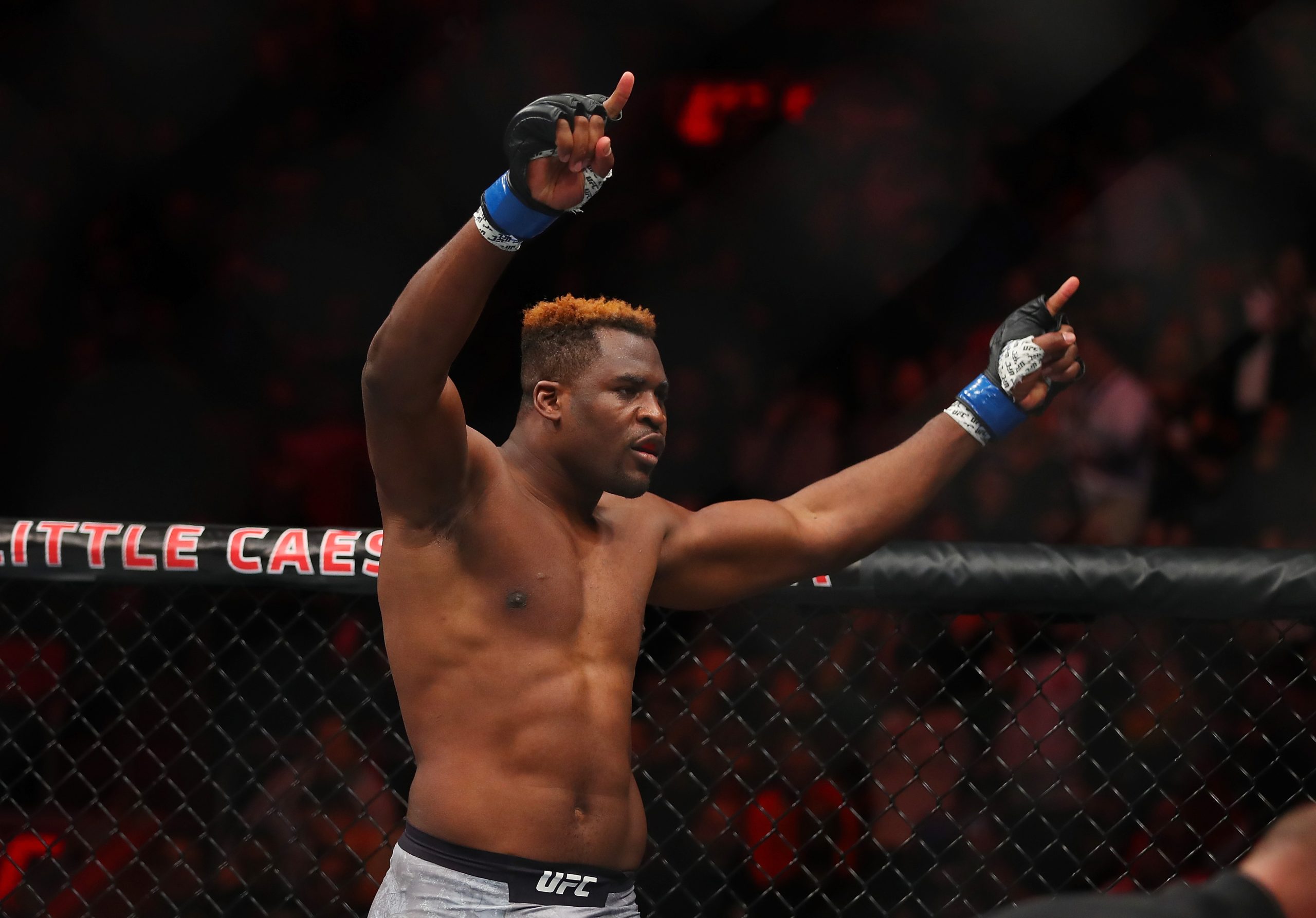MMA: A história do ‘Predador’ dos Camarões