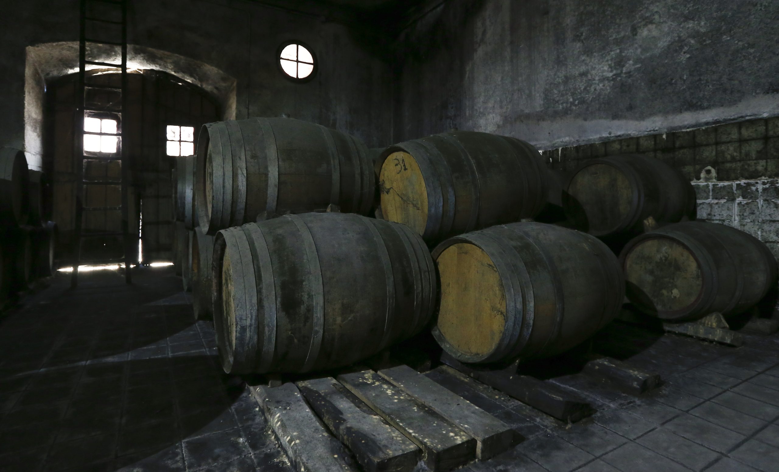 Douro beneficia 102.000 pipas de vinho do Porto, 10.000 ficam em reserva qualitativa