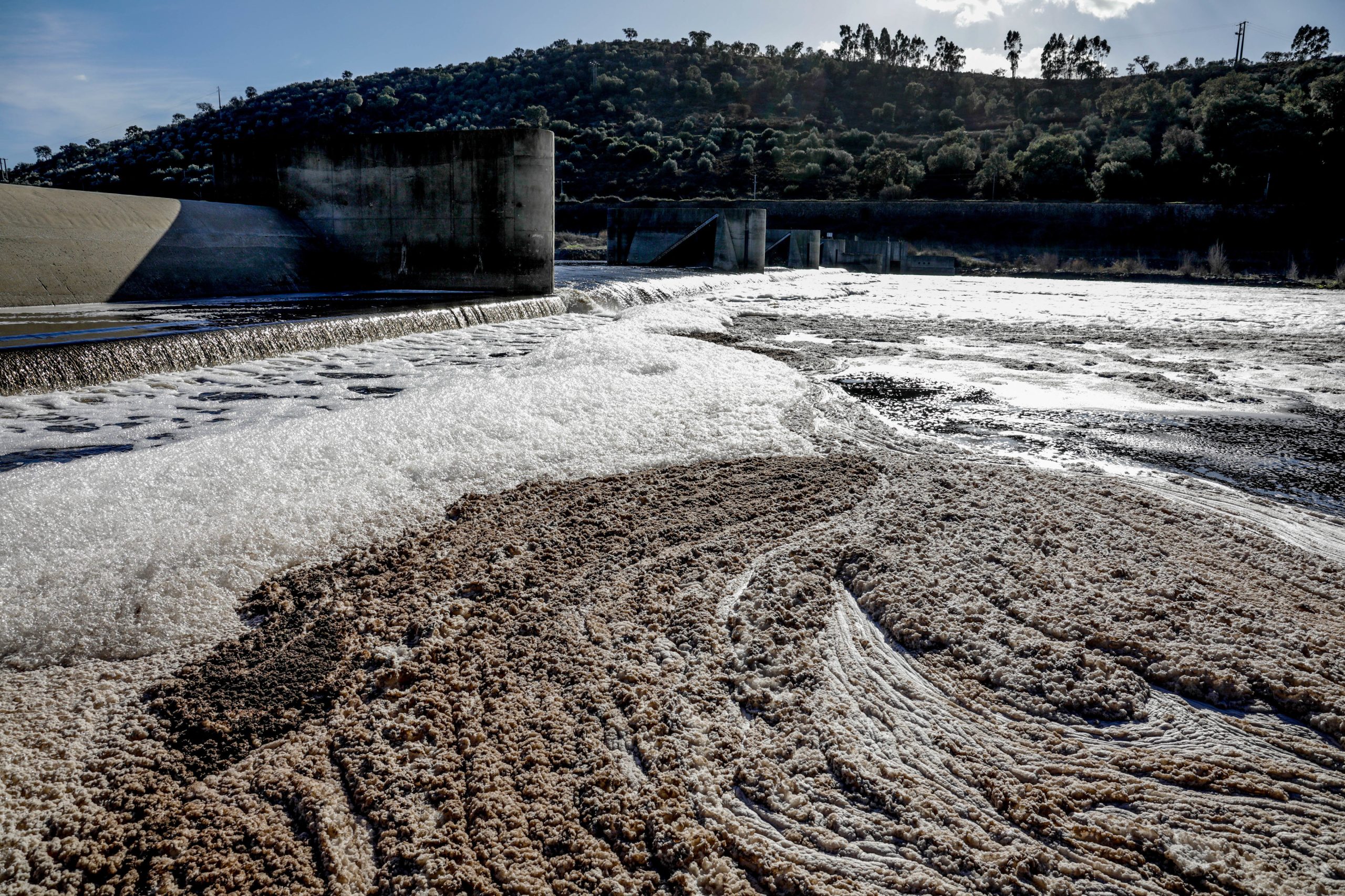 Estudo alerta para a fraca qualidade ecológica dos rios em todo o mundo