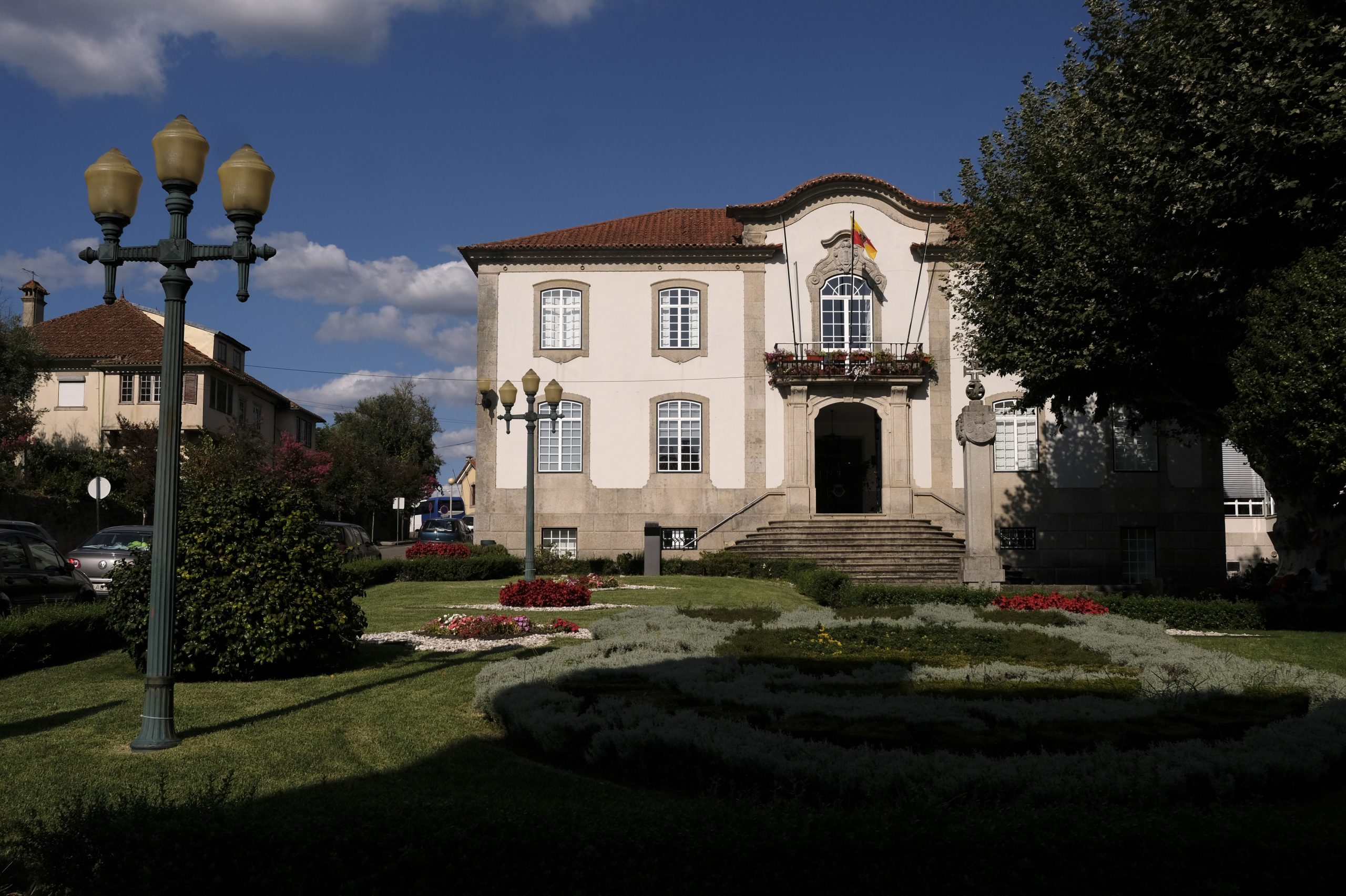Queda de árvore provoca um ferido em Vouzela