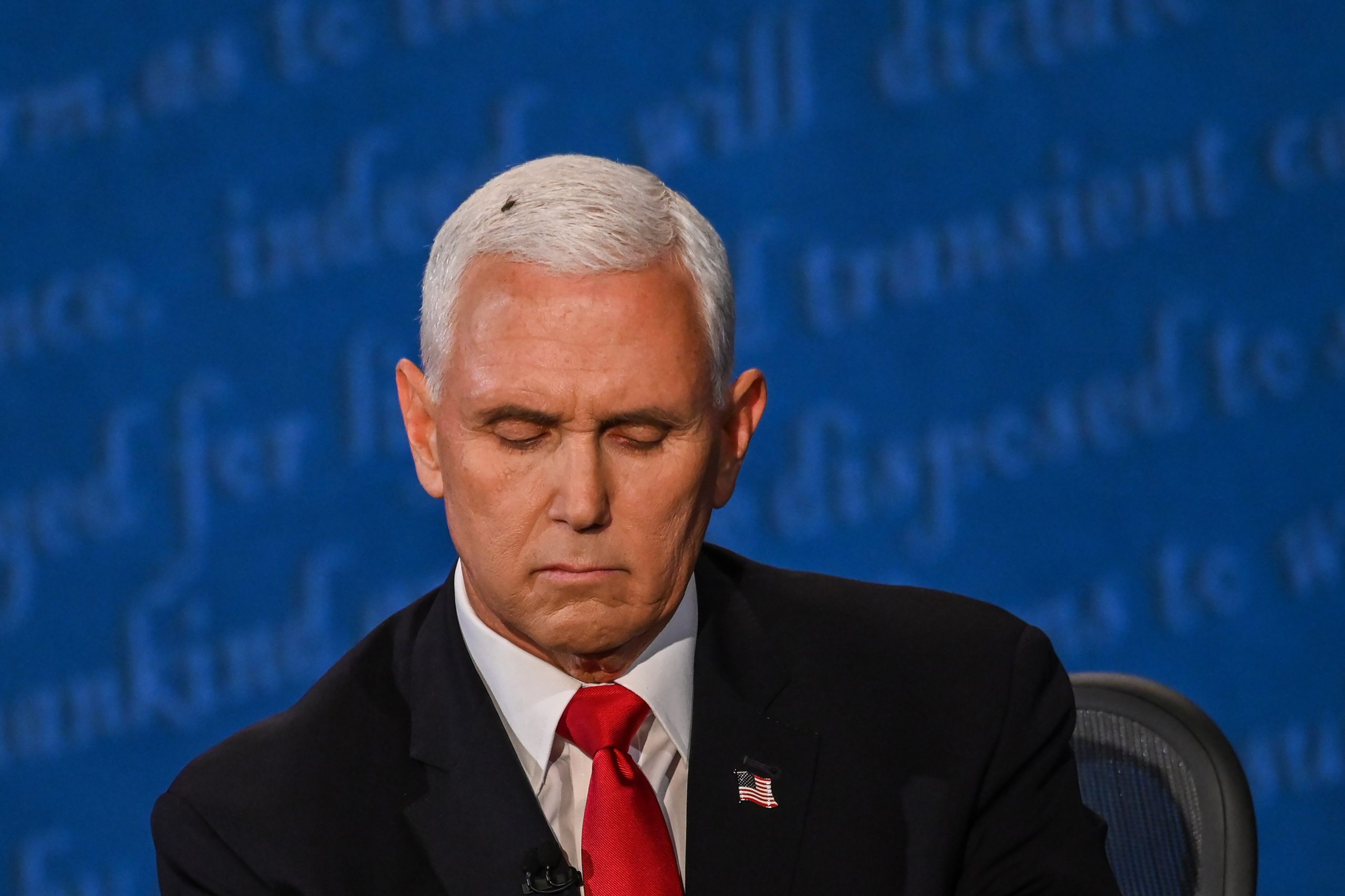 Uma mosca na cabeça de Pence rouba a cena durante o debate dos vices nos Estados Unidos