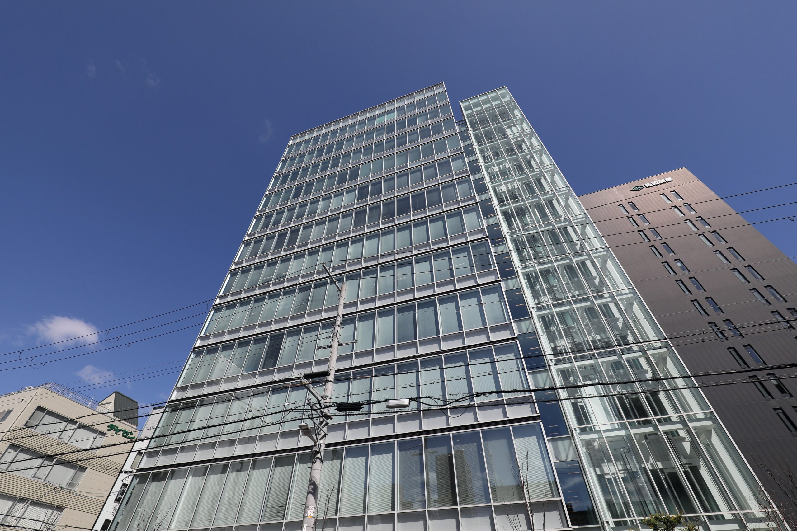 Levedura de arroz vermelho no centro de crise de saúde no Japão. Farmacêutica investiga suplemento associado a mortes e hospitalizações