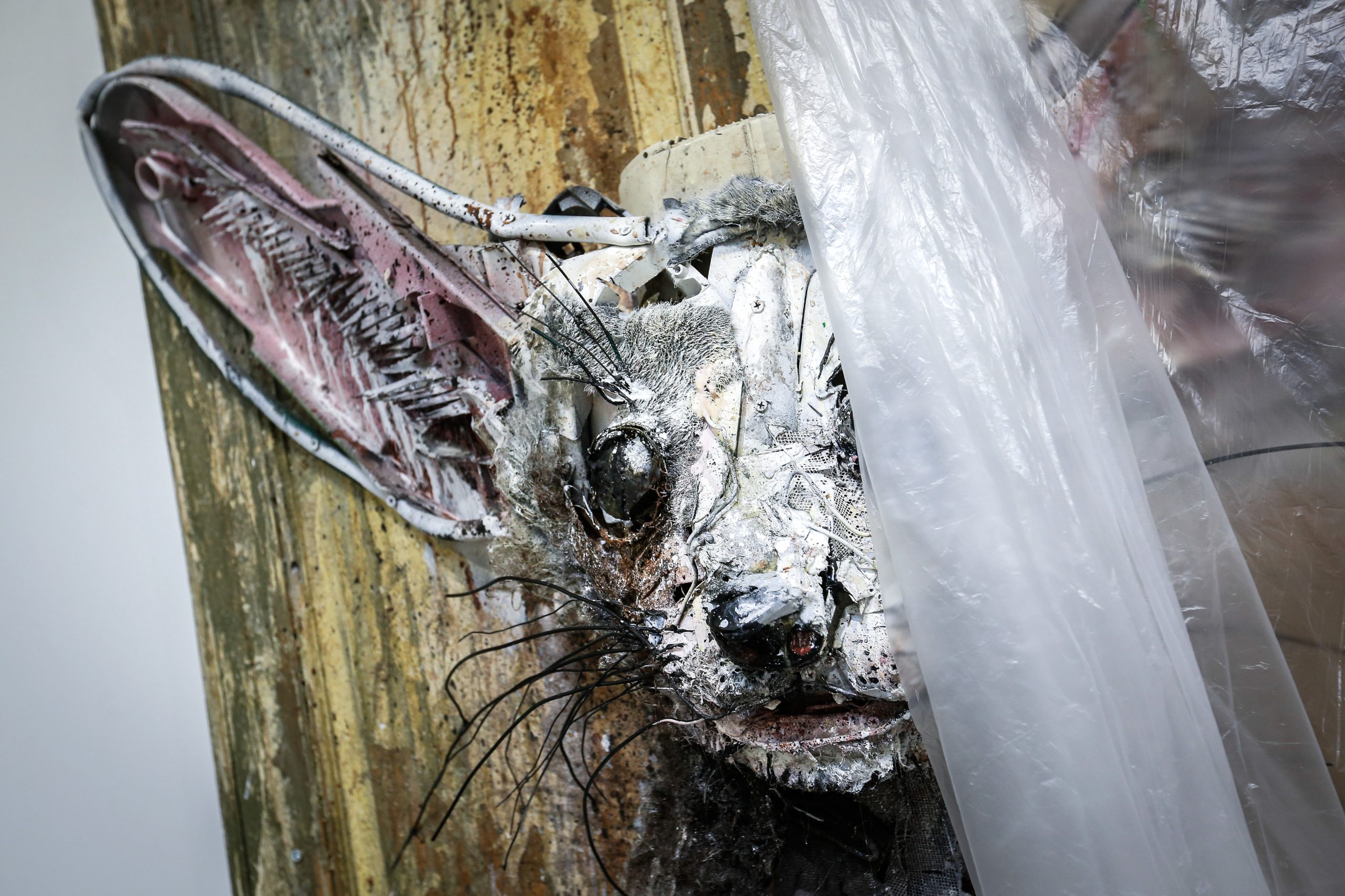 Bordalo II inaugura este mês primeira exposição a solo nos Estados Unidos