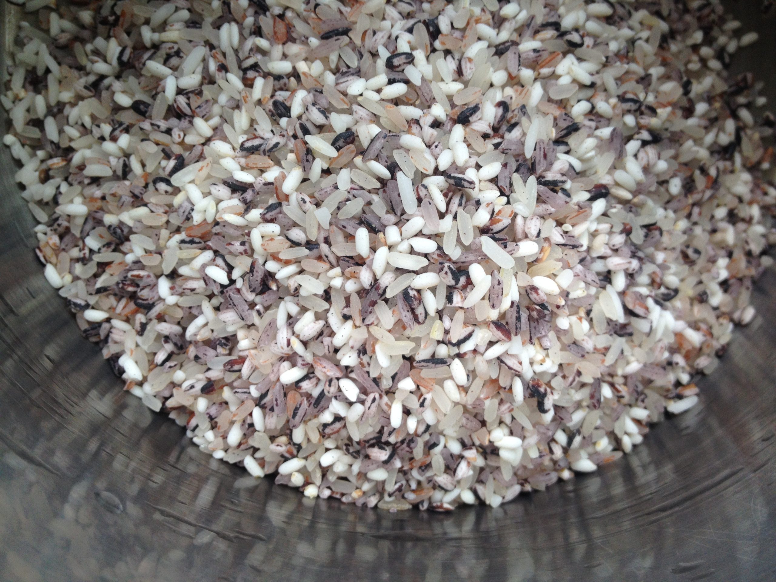 Guiné Bissau: o arroz da terra pode ser o princípio de uma história feliz