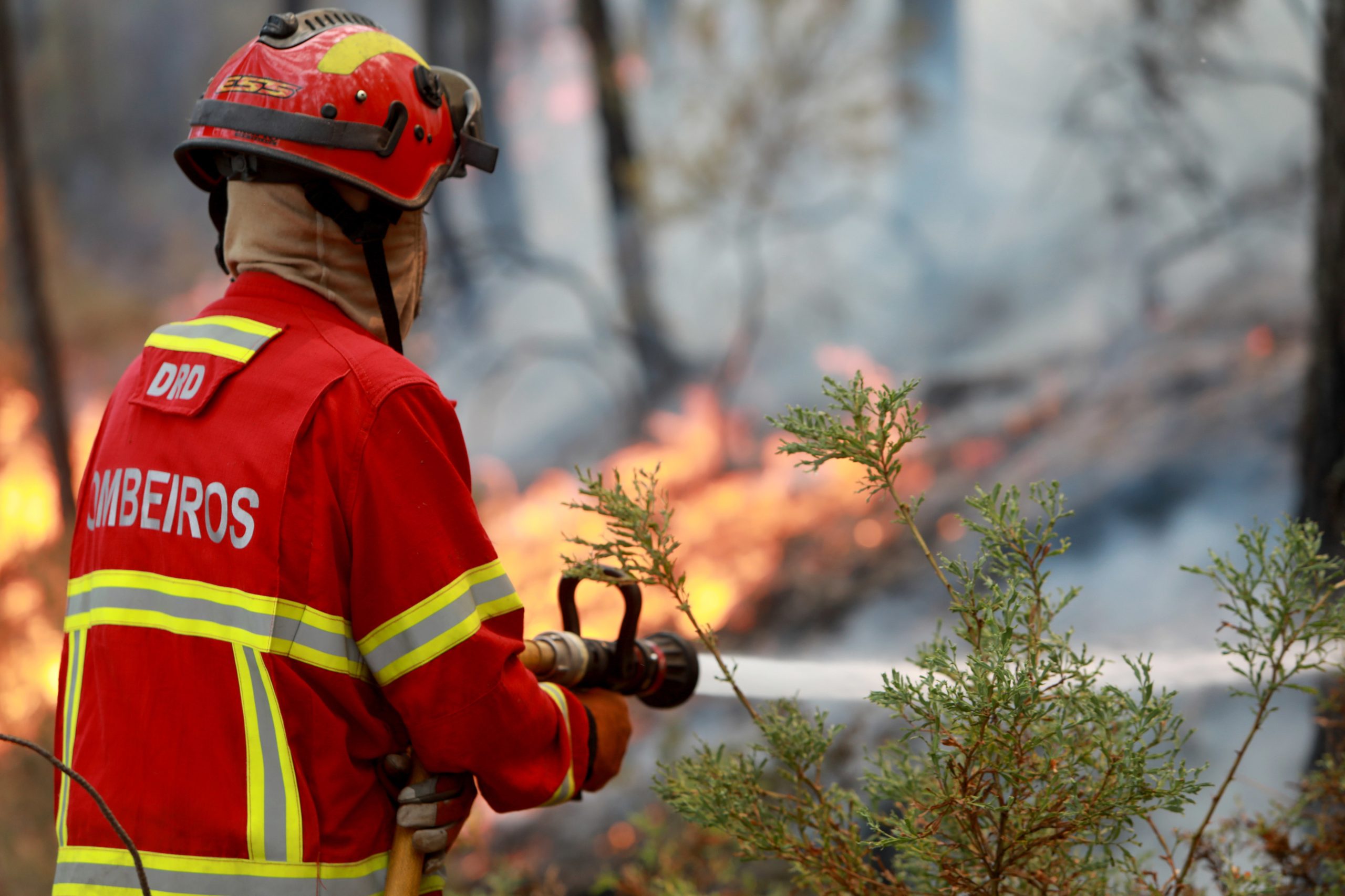 Reativação de incêndio em Vila Real ocorreu perto de aldeias e em zona de pinhal