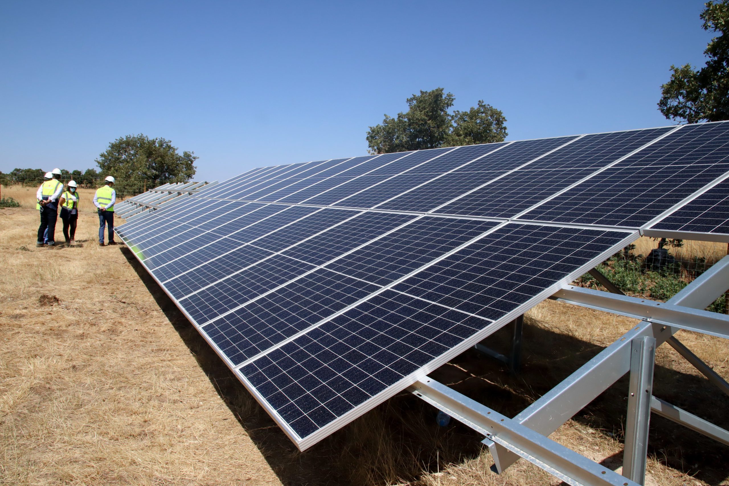 Central fotovoltaica em Mogadouro estimula emprego em tempos de crise pandémica