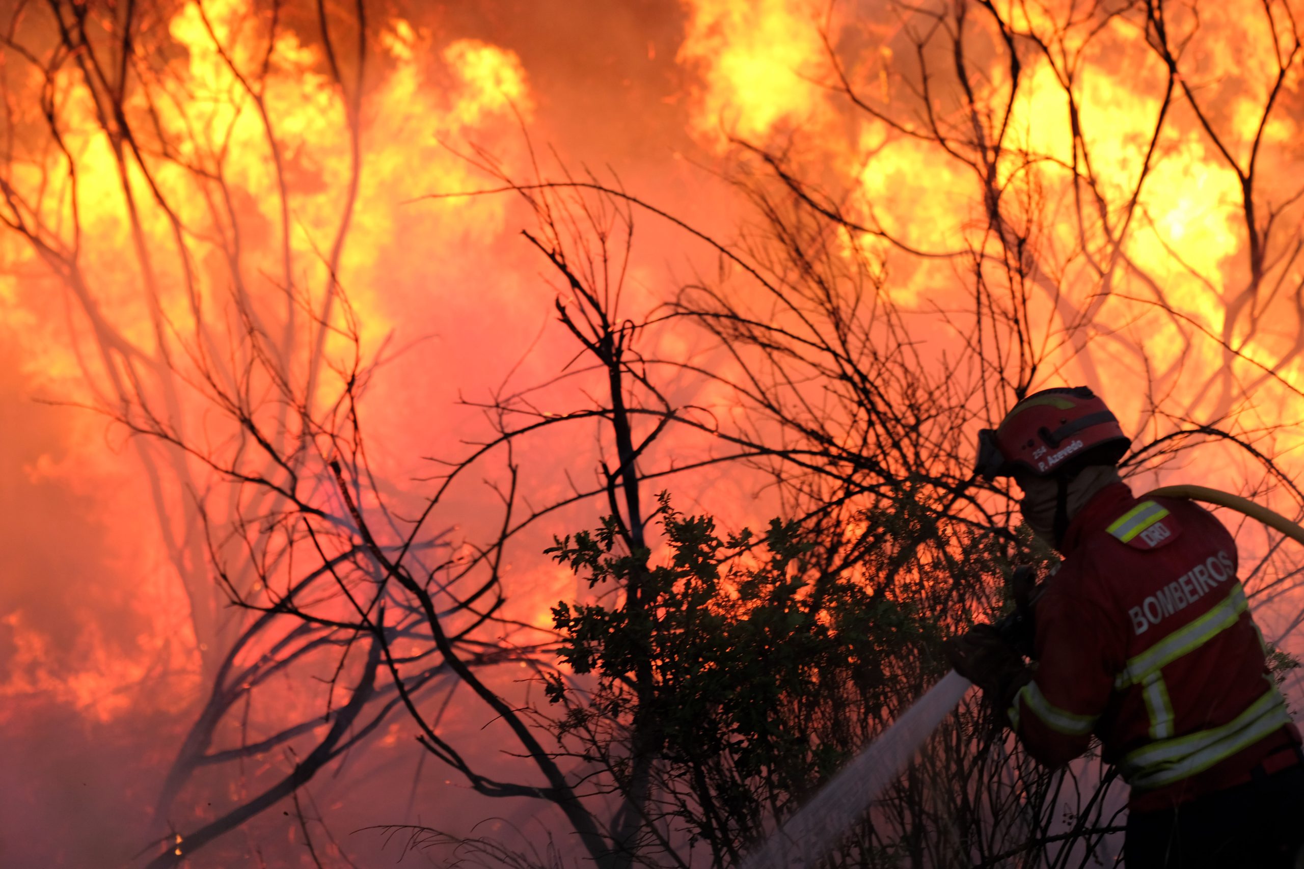 Três estradas cortadas em Nisa e uma em Mangualde devido a incêndios