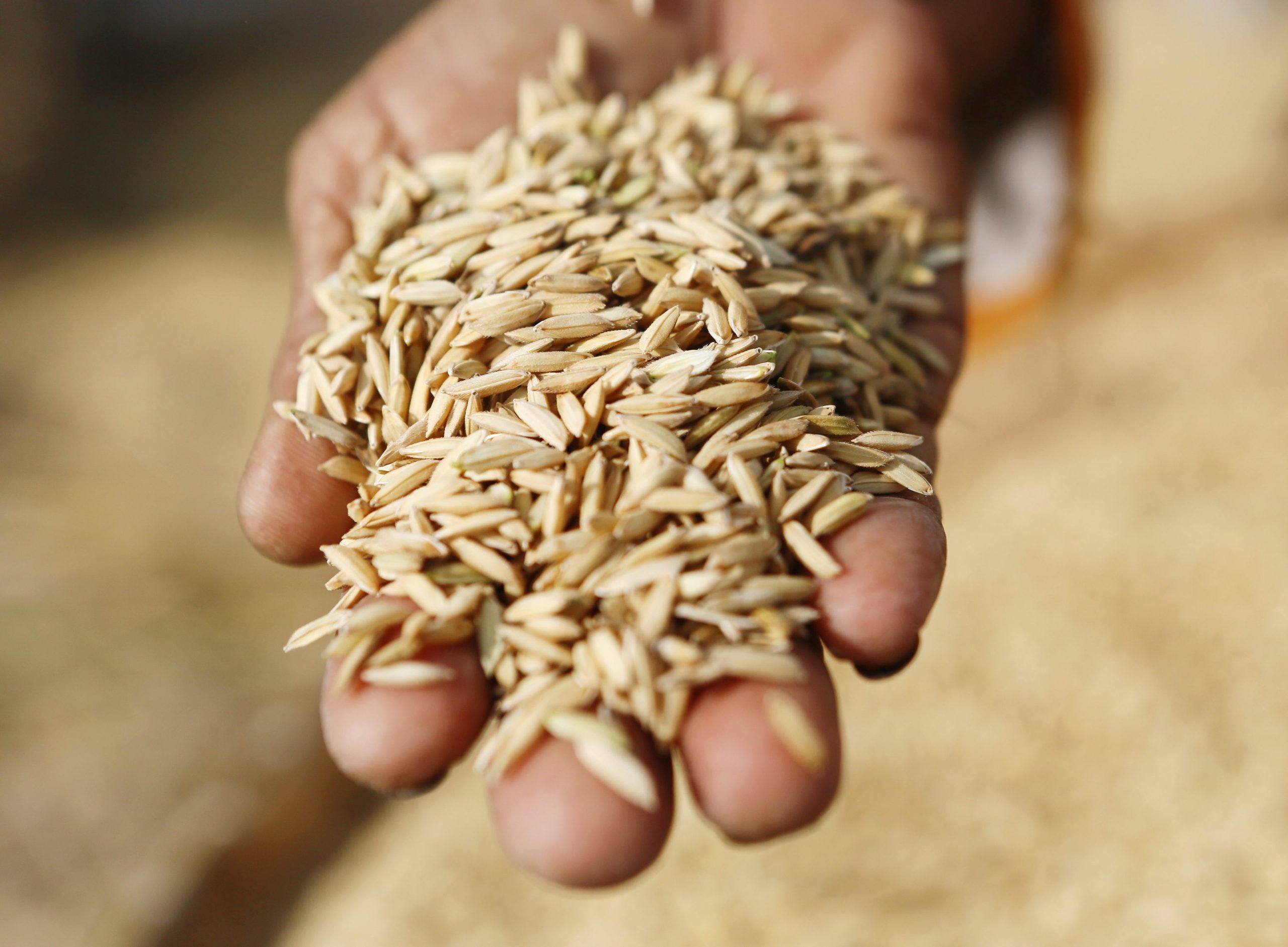 China doa três milhões de euros em arroz à Presidência da Guiné-Bissau