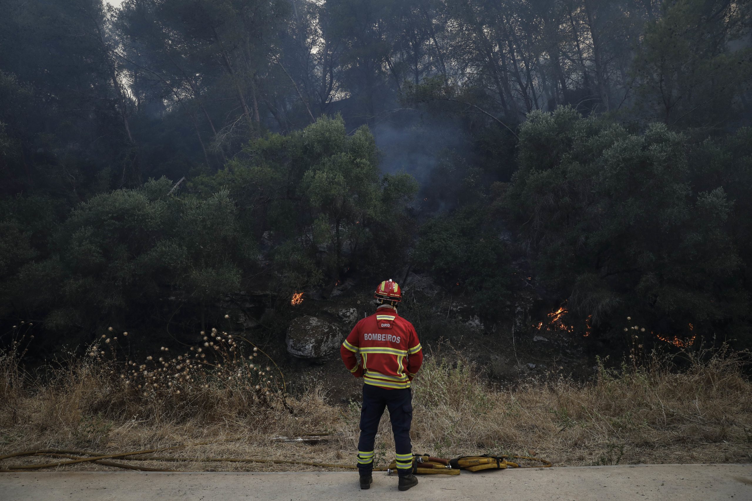 Detido homem suspeito de originar fogo de Mirandela com trabalhos agrícolas