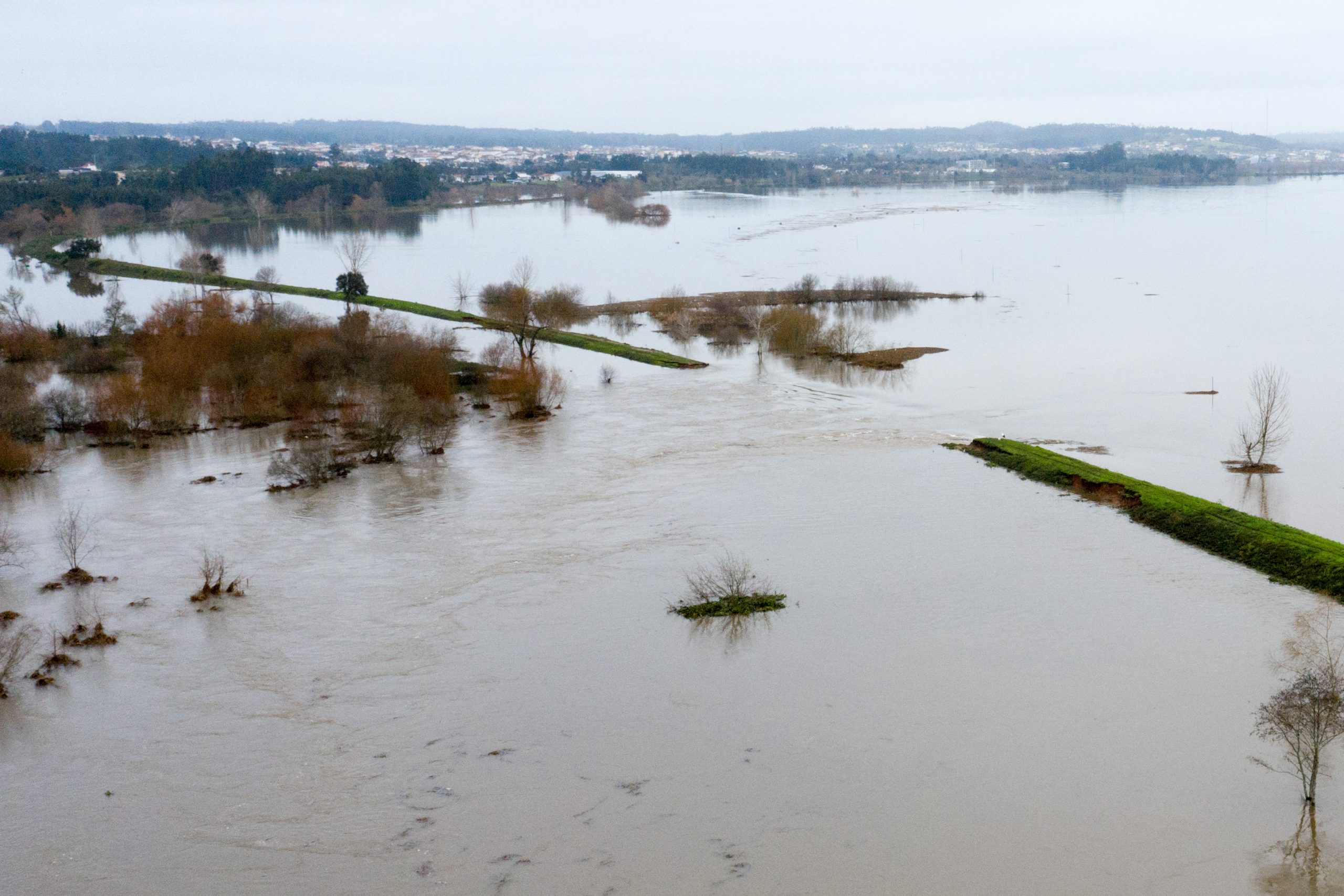 Evacuação de Coimbra mobiliza mais de três mil pessoas: “Operação gigantesca”