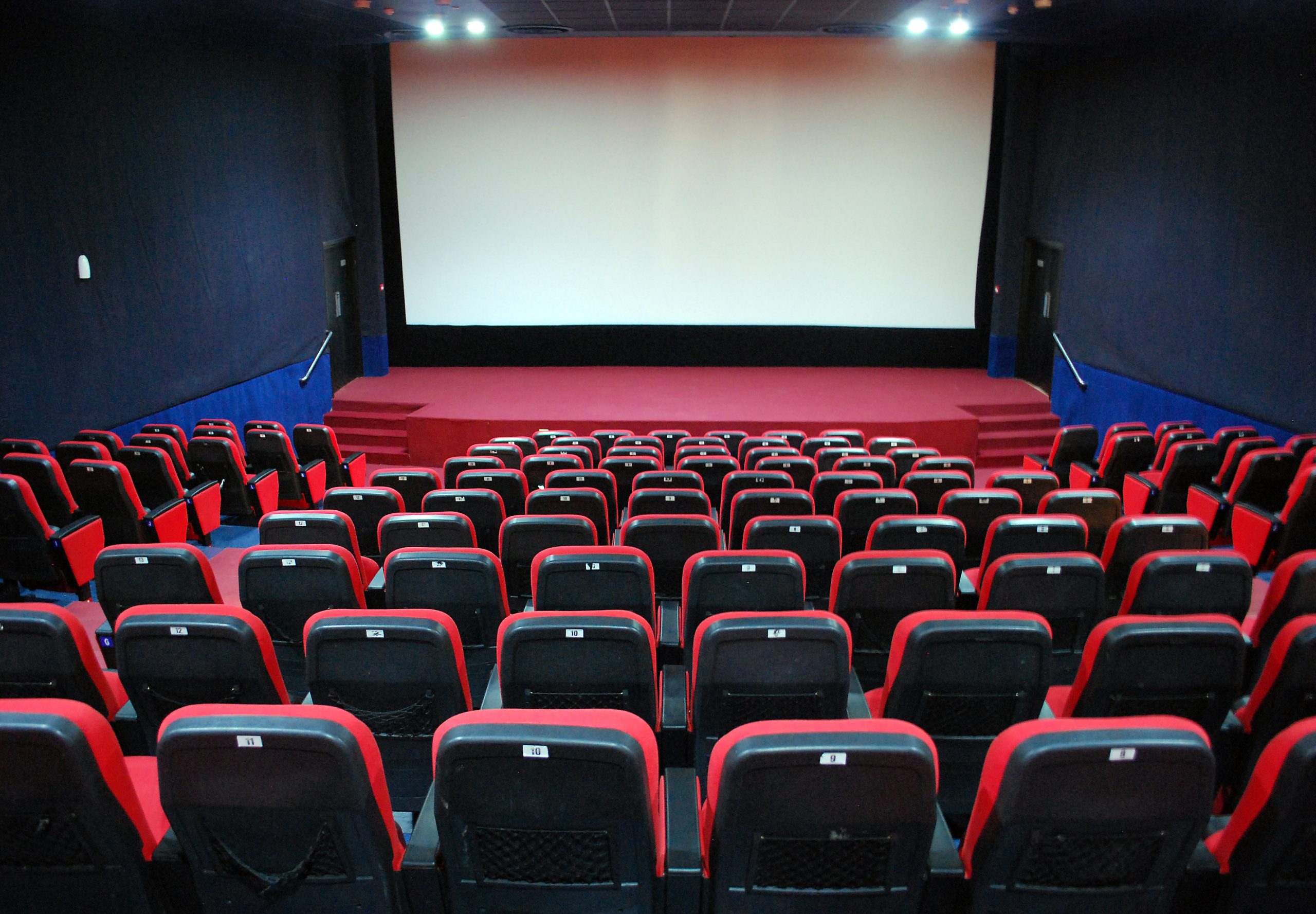 Exposições, cinema e um espetáculo de comédia. Quais são os planos para este domingo?