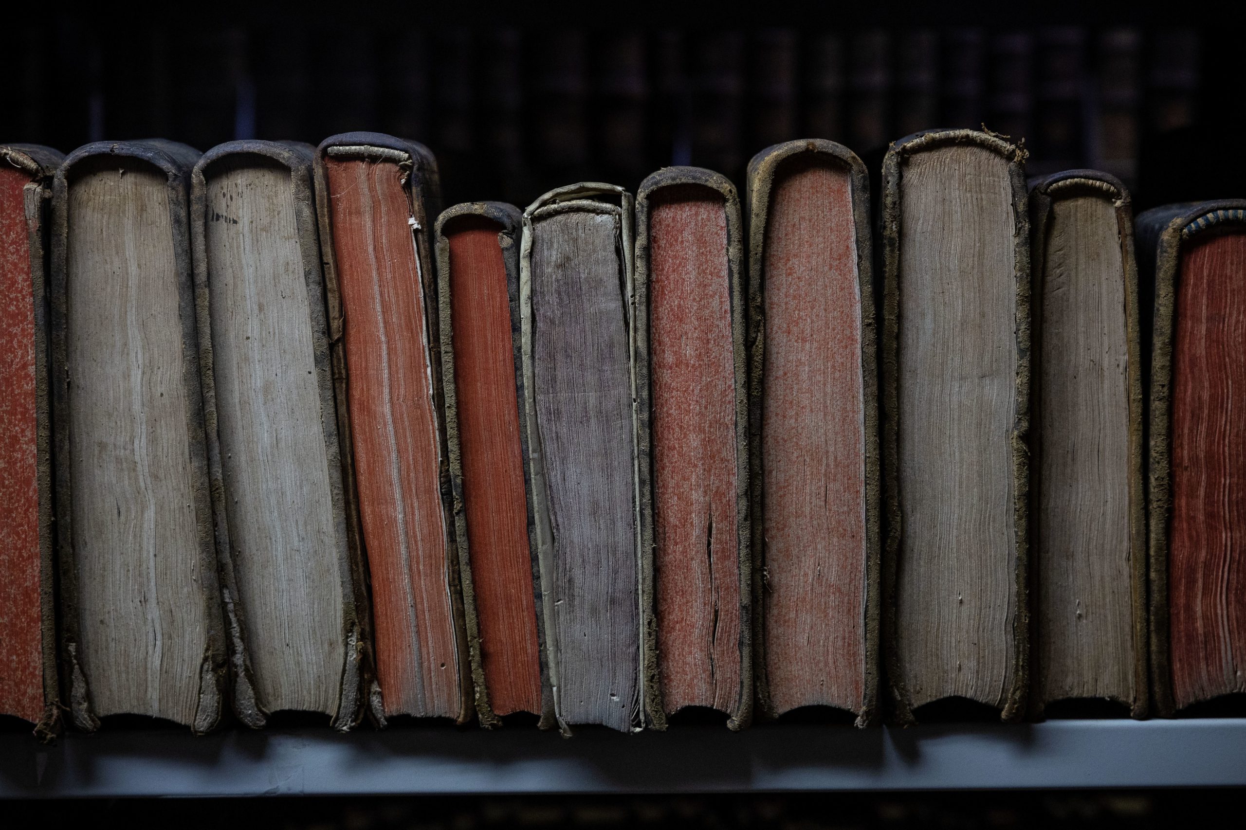 Funcionários salvam acervo histórico da biblioteca do Instituto Nacional de Investigação Agrária e Veterinária, mas parte do património continua em risco