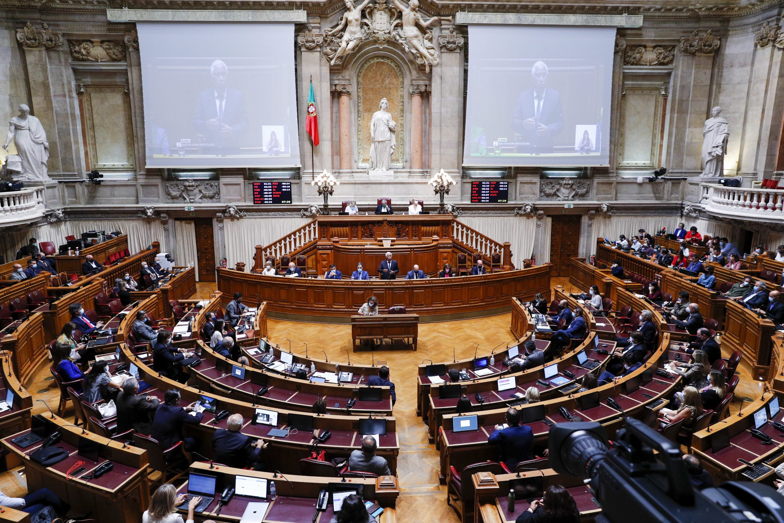 Comissão parlamentar adia debate sobre extensão da tutela criminal a todos os animais vertebrados