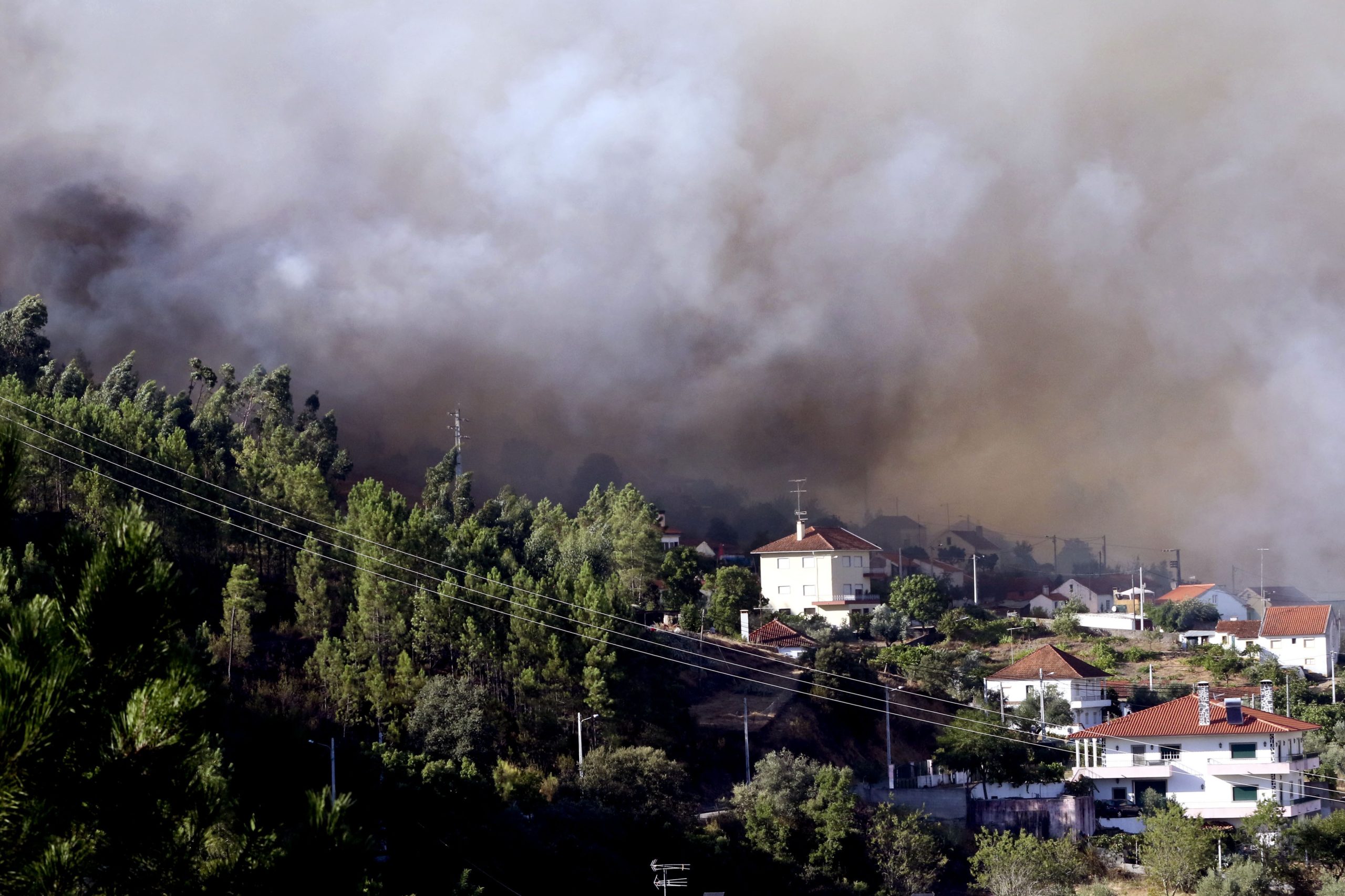 Detido presumível autor de 16 incêndios em Proença-a-Nova