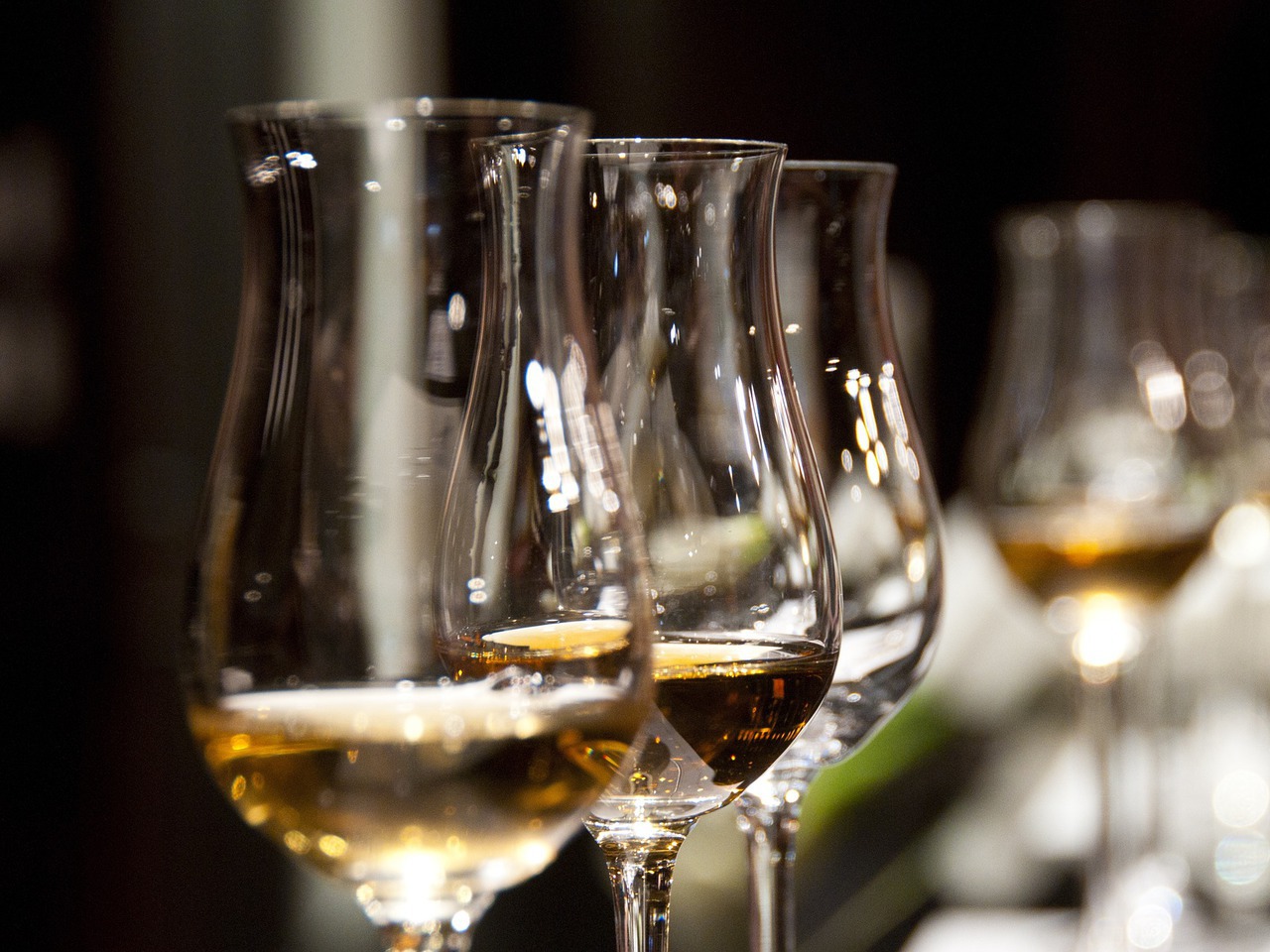 Uma viagem para provar que os nossos vinhos “casam bem” com qualquer cozinha do mundo