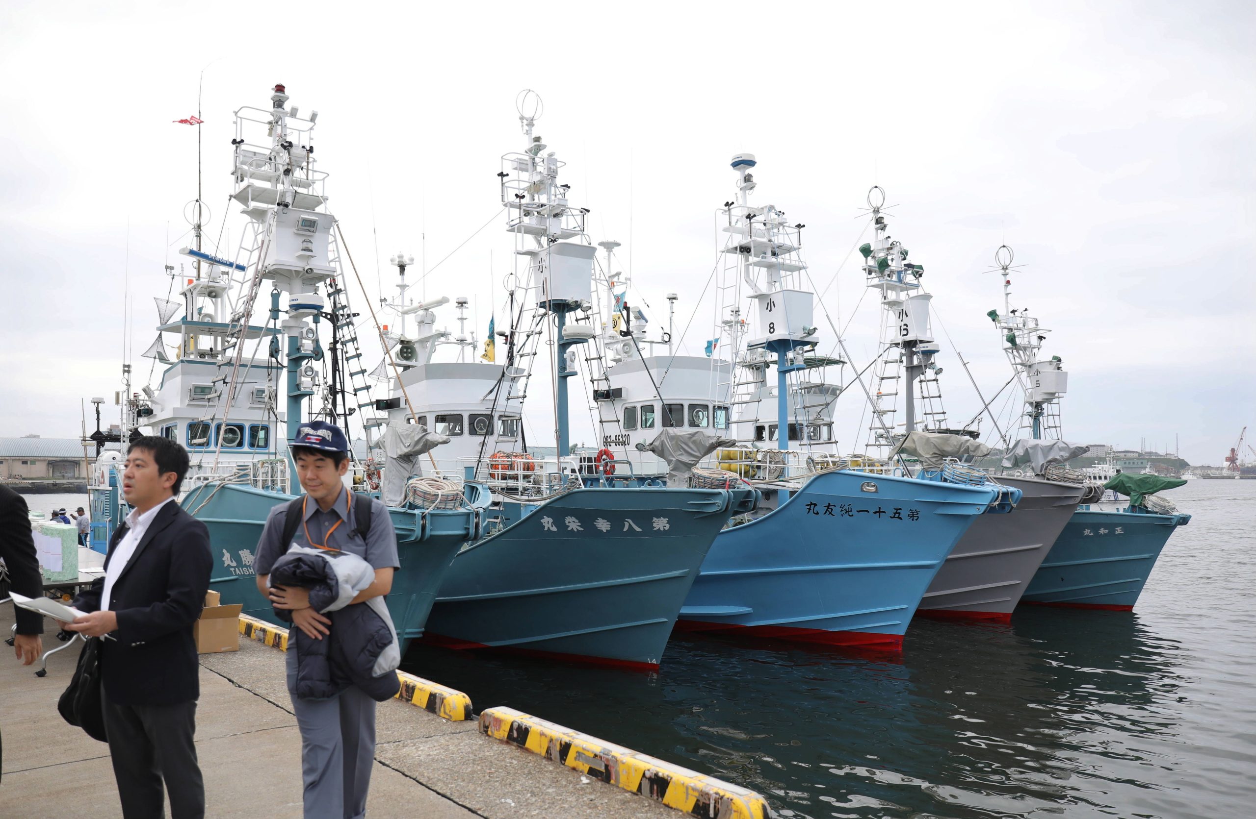 Japão retoma pesca comercial de baleias após três décadas de interrupção