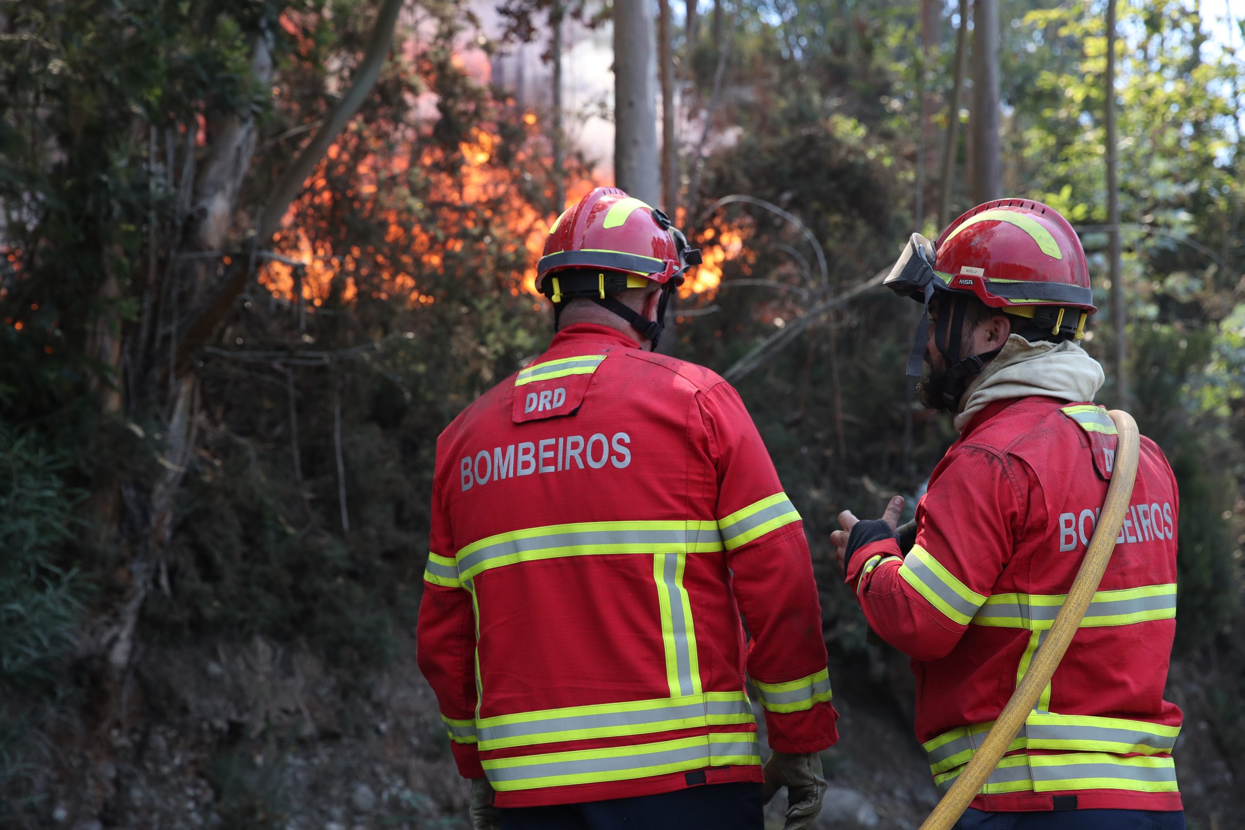 Dominado desde as 21:30 fogo no concelho de Pombal