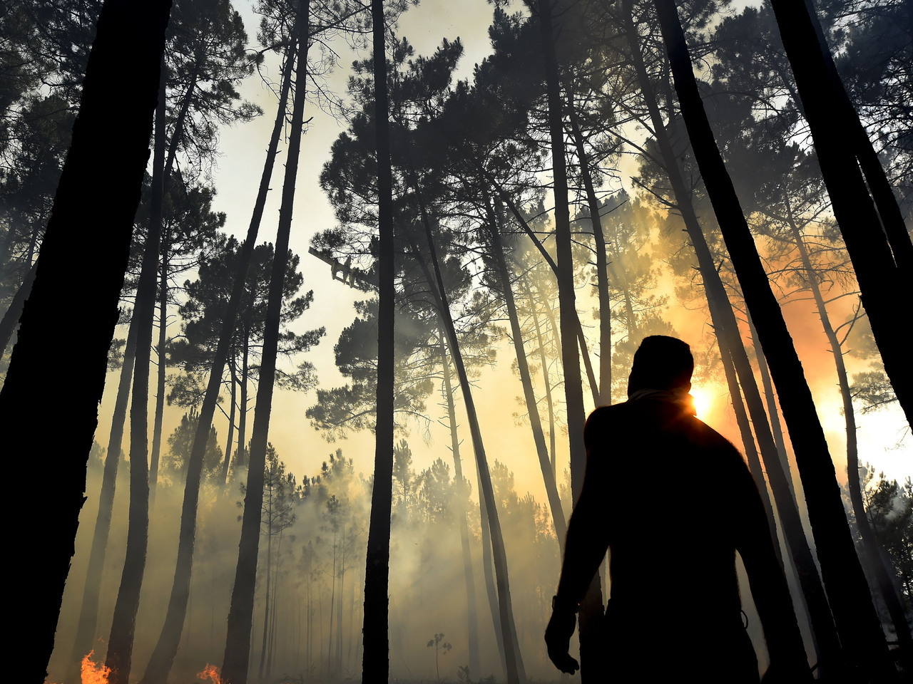 Sistemas de videovigilância de prevenção de incêndios instalados a partir de 2017