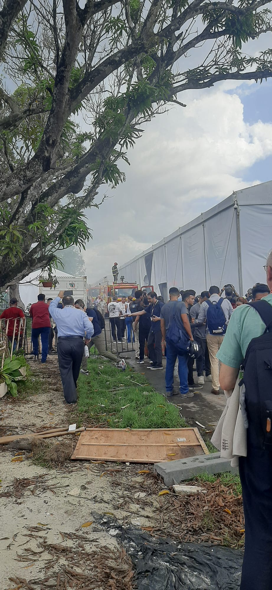 COP30. Presidente da Quercus: “Os bombeiros vieram rápido”, “não houve pânico nem nada”