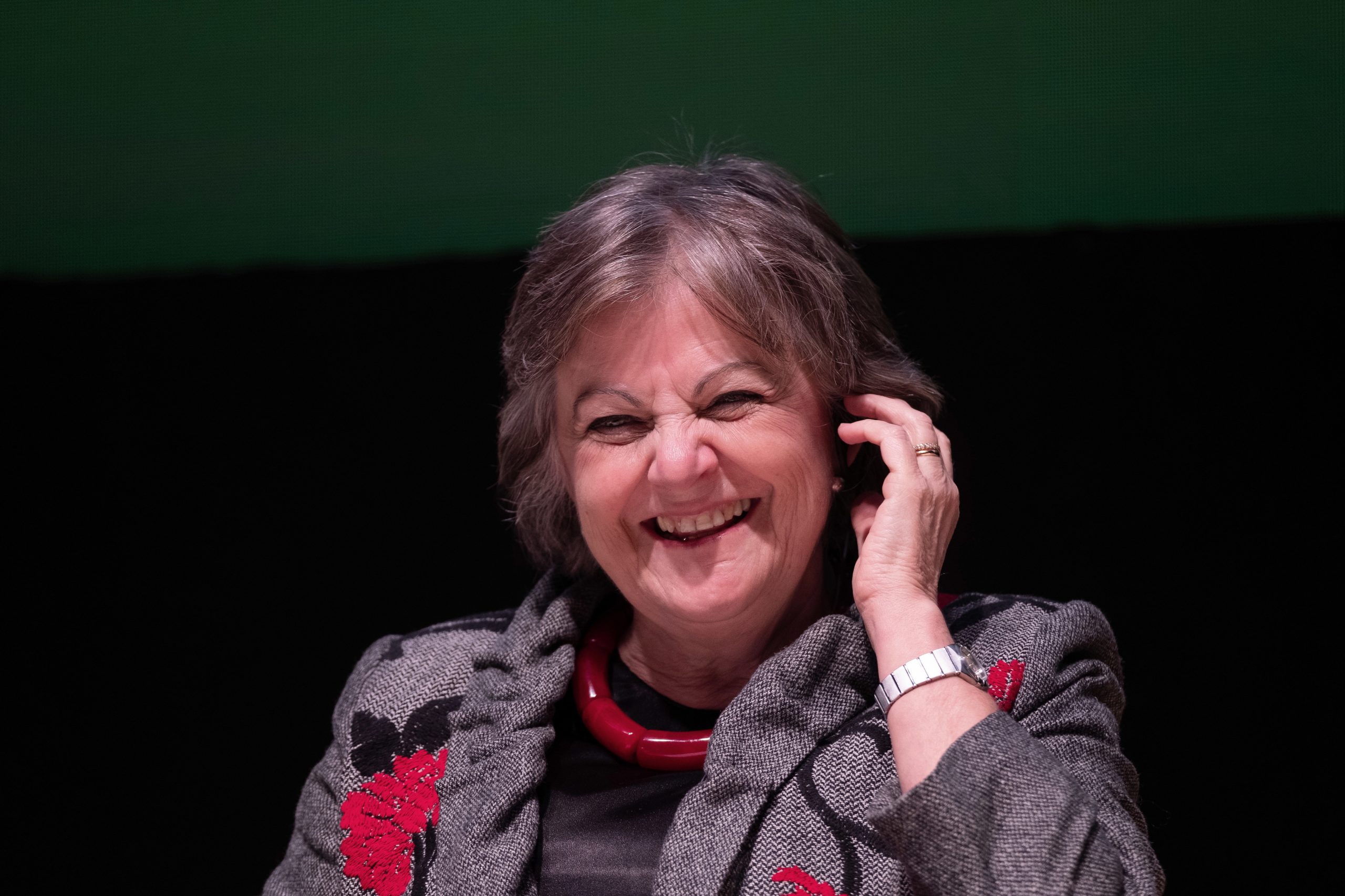 Elisa Ferreira: Exploração de lítio em Montalegre tem de garantir impacto ambiental reduzido