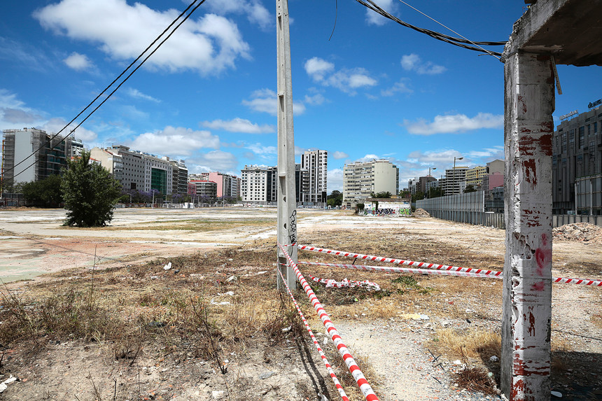 Hasta pública de Entrecampos, em Lisboa, foi interrompida e será retomada em dezembro