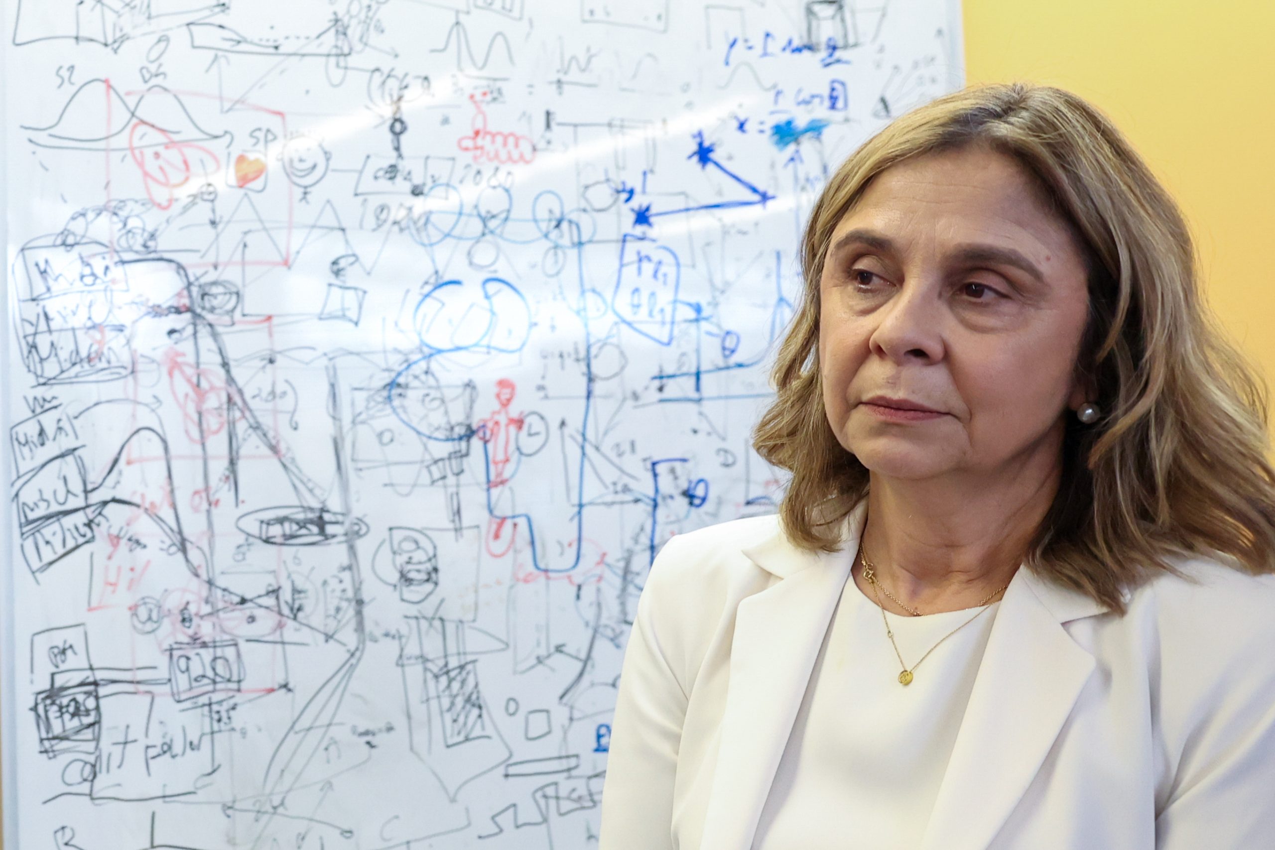 Ministra da Saúde “surpreendida” porque contava ter Plano de Verão pronto e estar a trabalhar no de Inverno