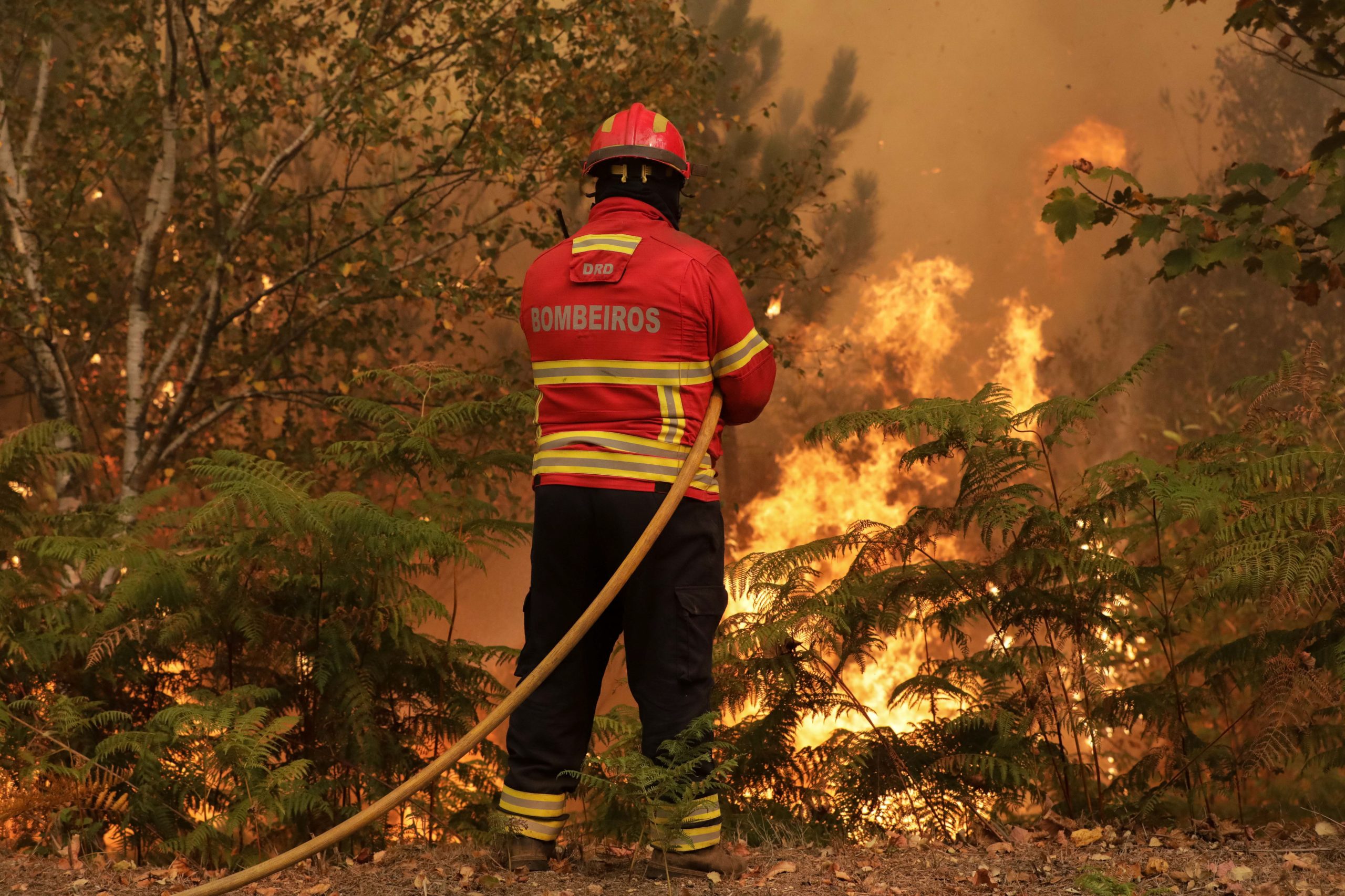 Incêndios: Fogo em Pampilhosa da Serra em fase de rescaldo