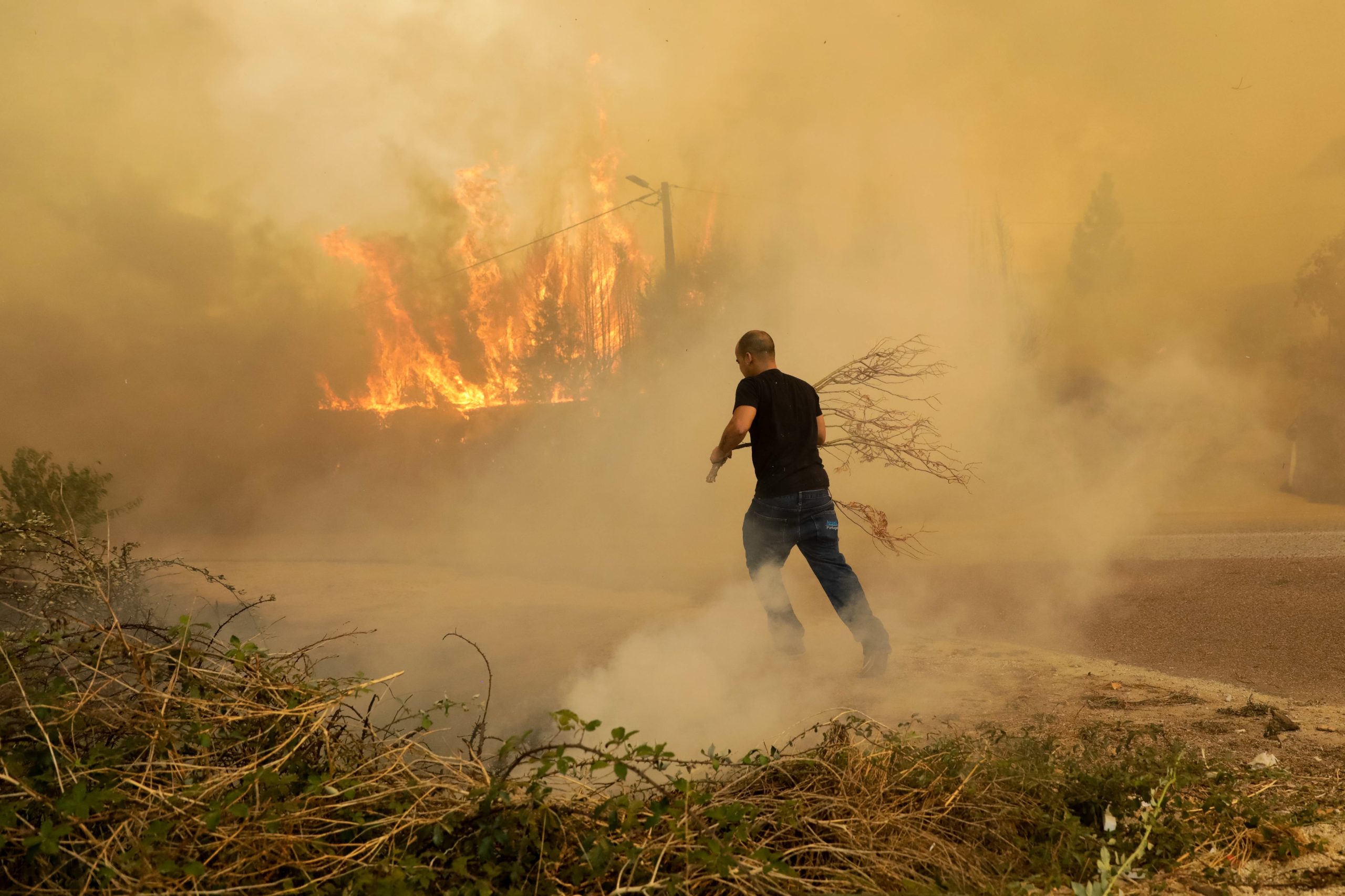 Incêndios: Negligência da EDP pode ter provocado um dos maiores fogos do ano