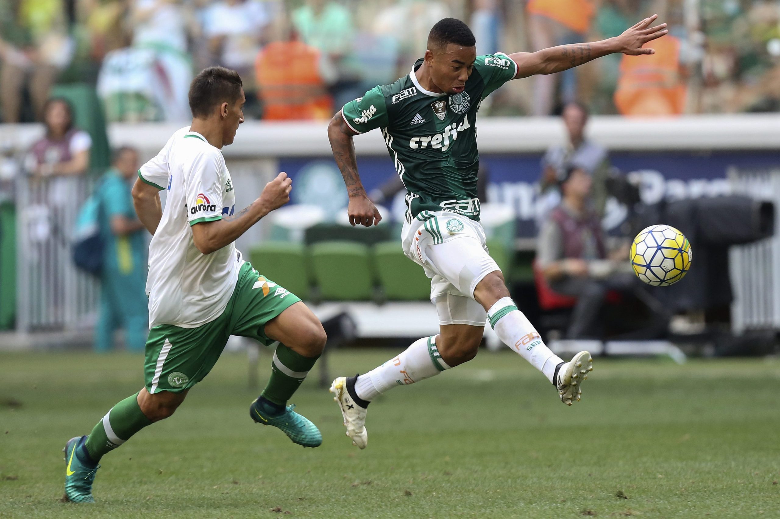 Palmeiras quer usar equipamento da Chapecoense na última jornada