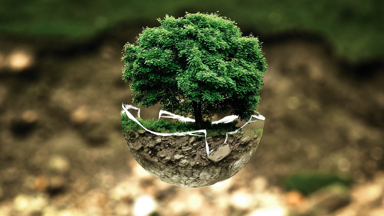 Green isto, Green aquilo. Em terra de cegos quem é Green é rei?