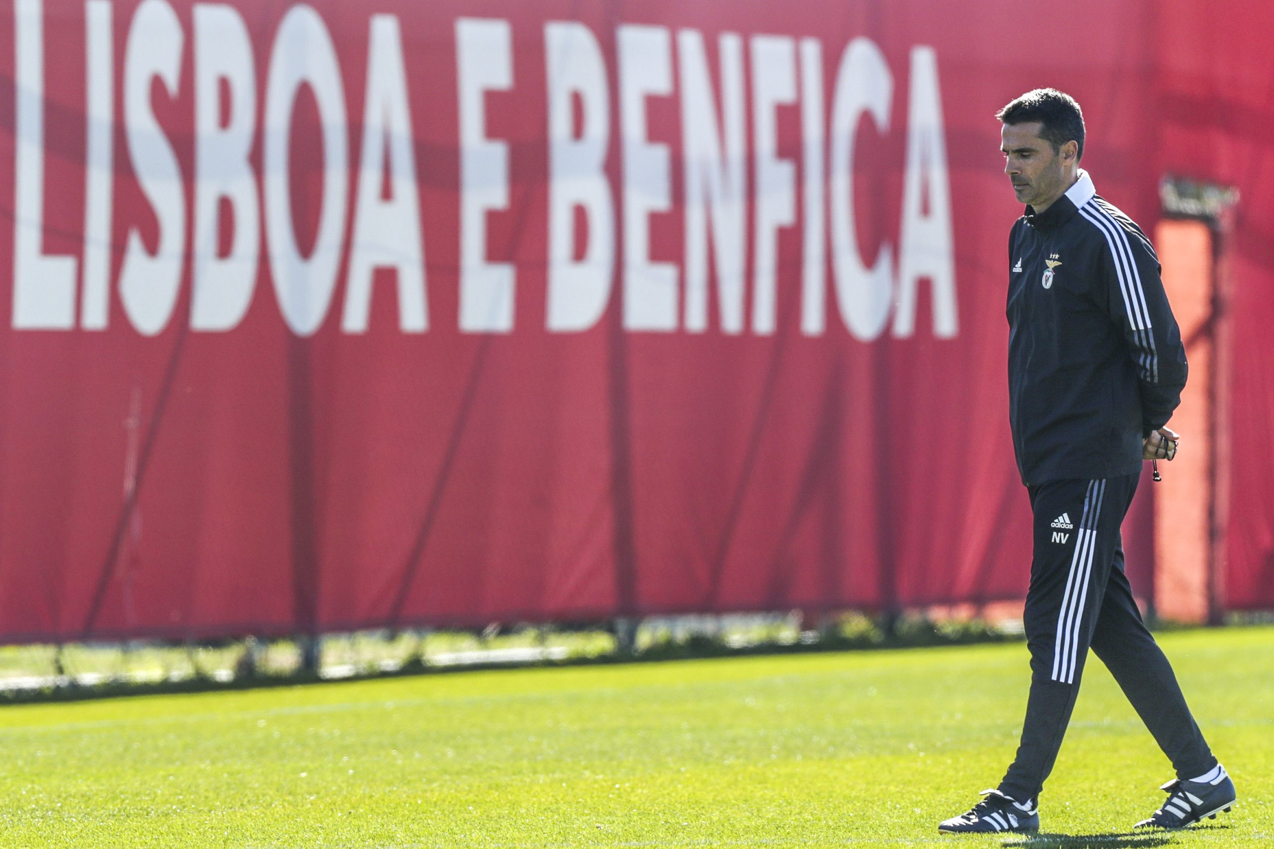 Veríssimo diz que Benfica tem as mesmas possibilidades que Ajax na ‘Champions’