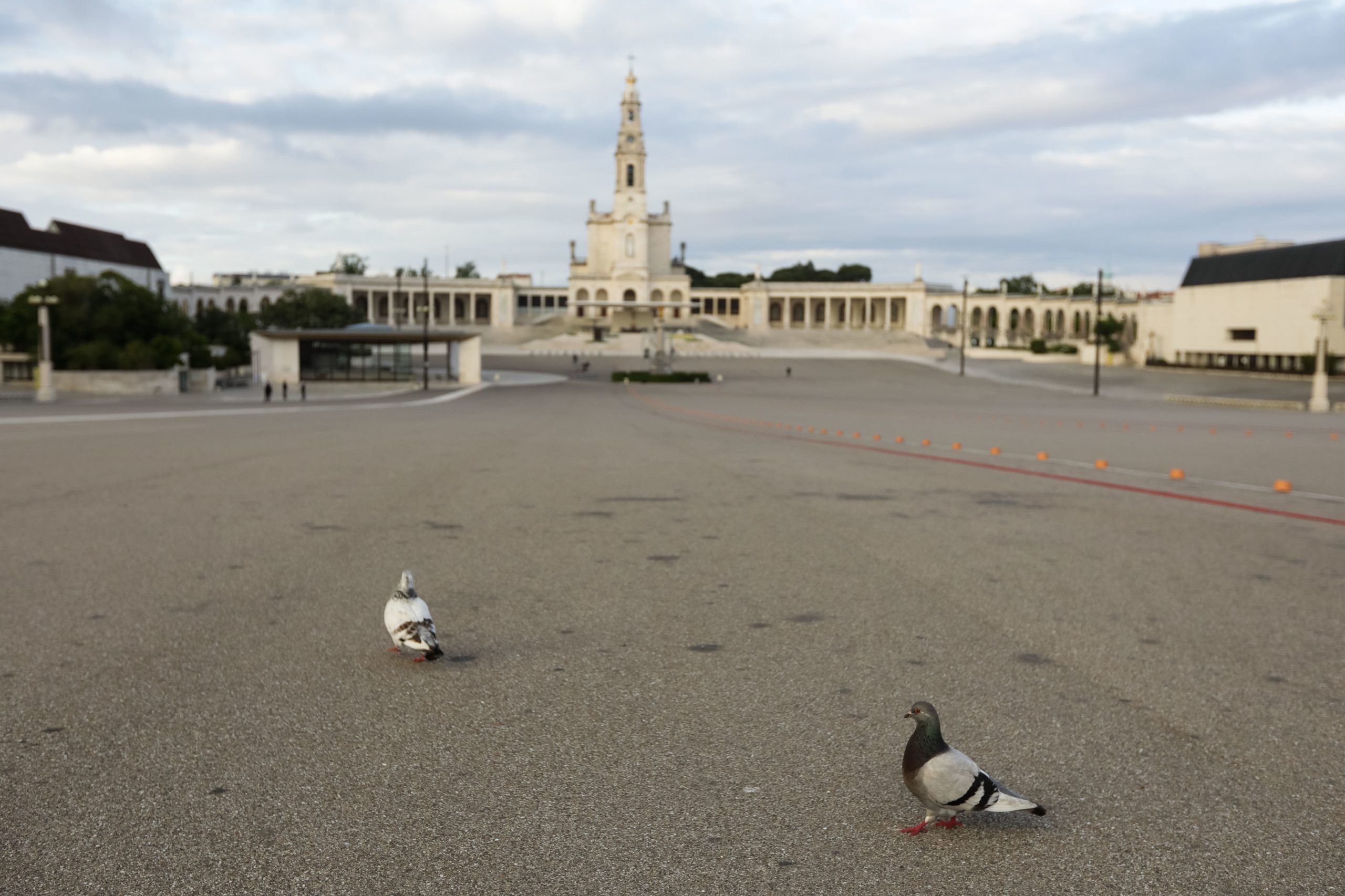 Conferência Episcopal reúne-se hoje em Fátima com eleição para novos orgãos