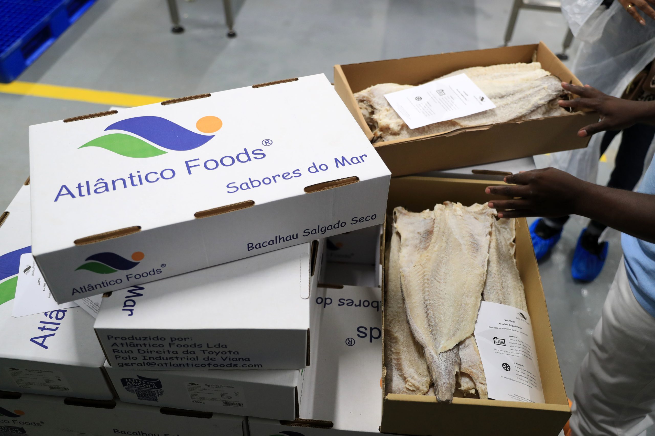 “Bacalhau Made In Angola”. Uma alternativa económica para a ceia de Consoada com ambição de conquistar outras mesas