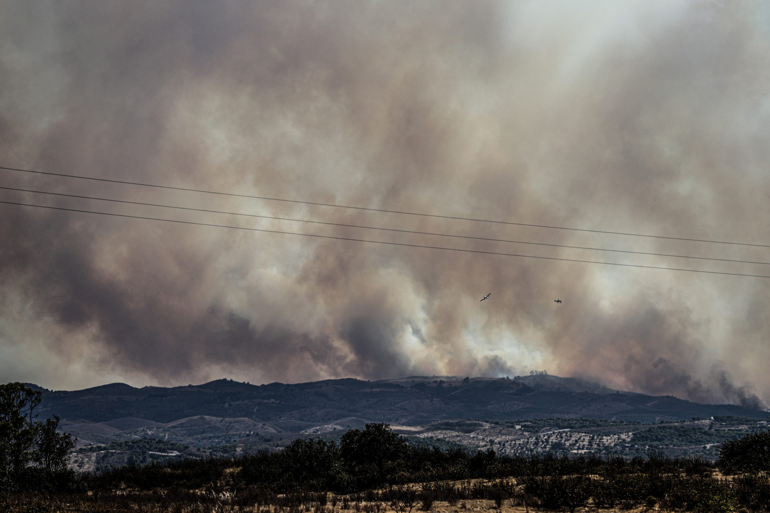 Fogo em Castro Marim já consumiu 9.000 hectares. Via do Infante reaberta