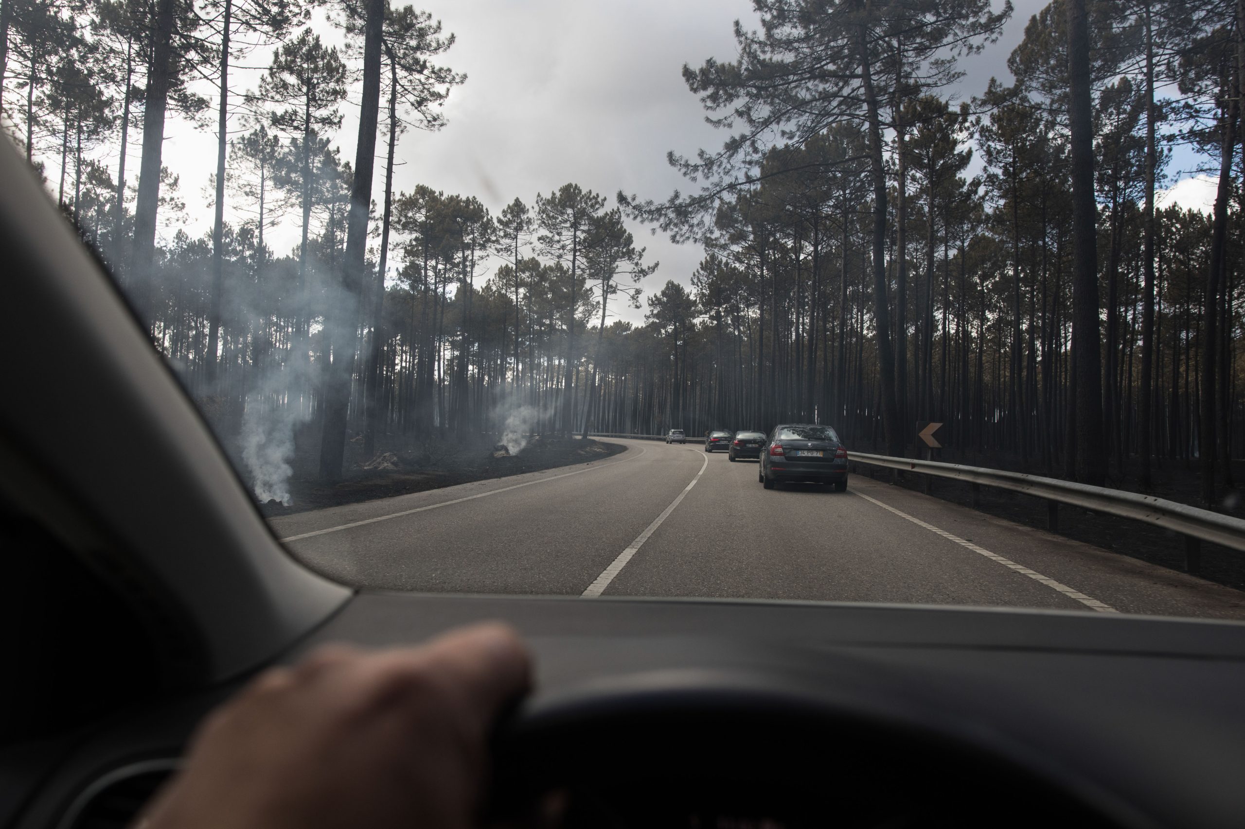 Incêndios: Deputados aprovam audições a presidentes da ANPC e Comissão Técnica Independente
