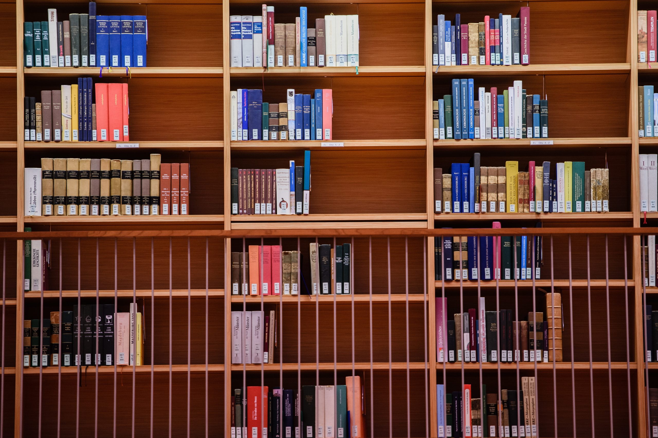 Semana da Leitura de Leiria celebra a diversidade com Camões e Camilo