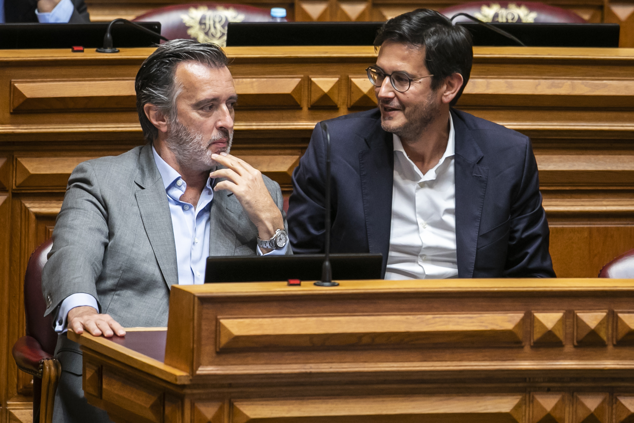 Rui Rocha garante que nunca recebeu queixa contra Cotrim