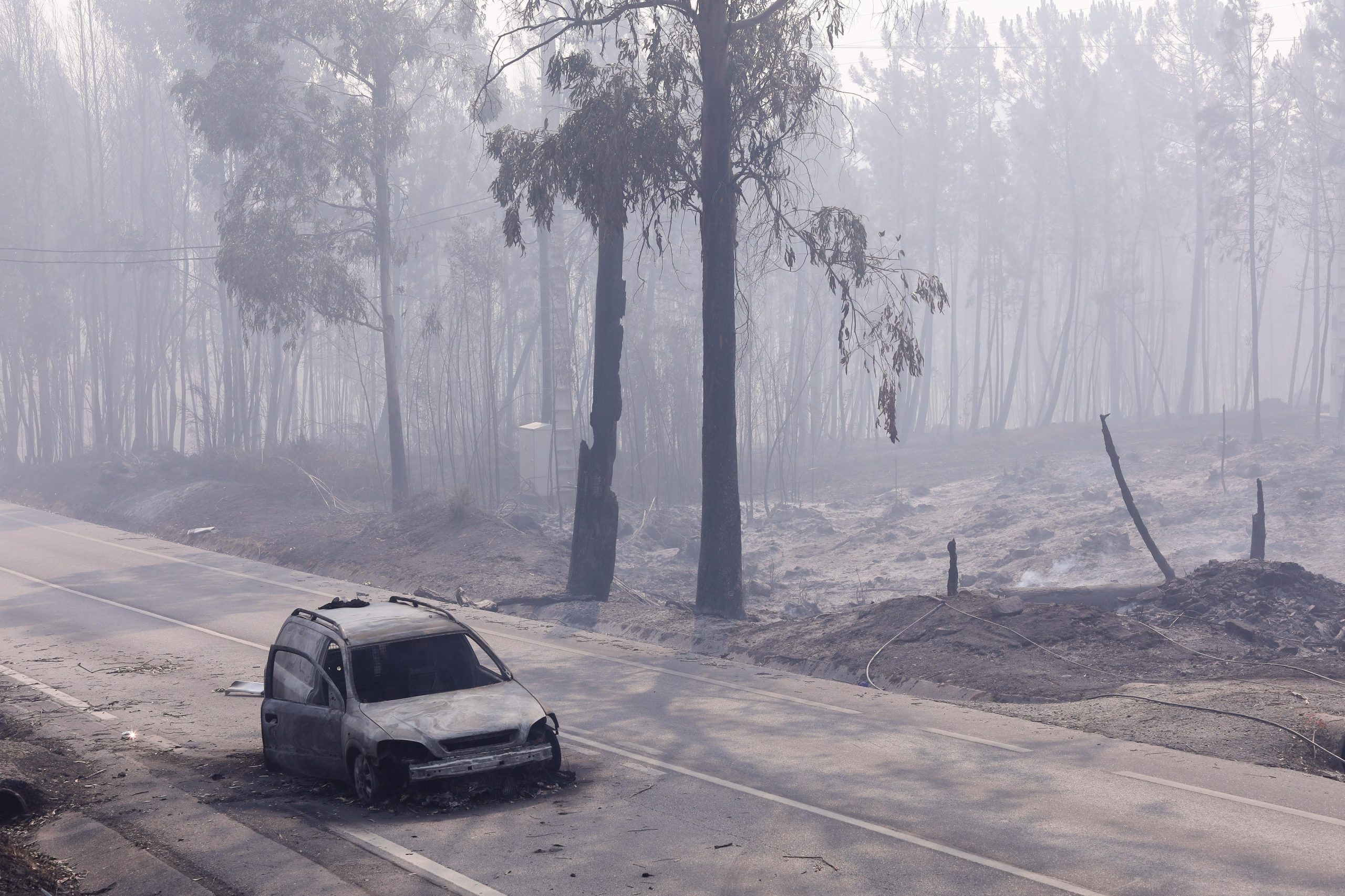 Proteção Civil indica que incêndio em Pedrógão Grande está dominado