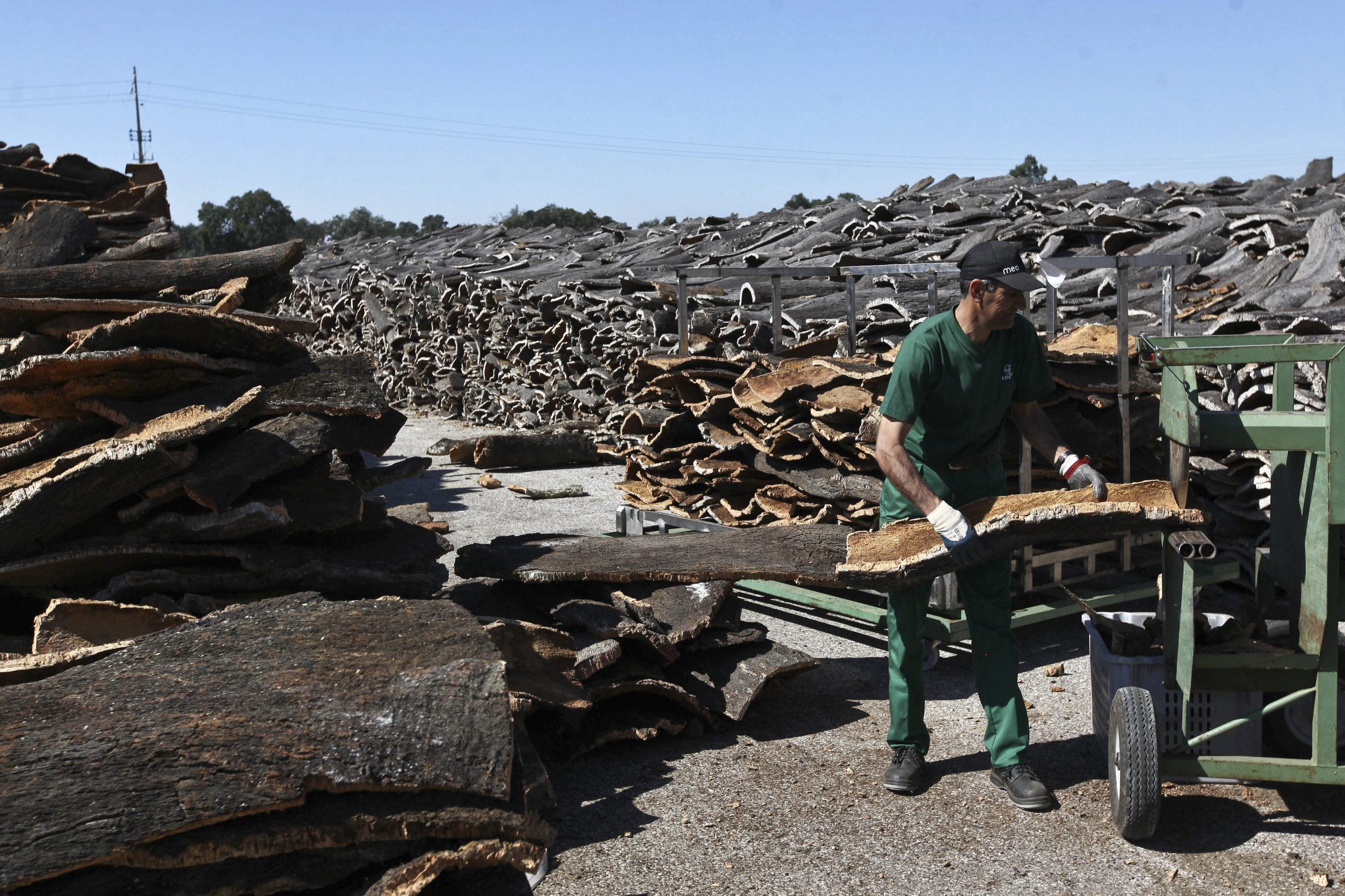 Uma questão de rolhas. Corticeira Amorim acorda compra de 70% da sueca Elfverson & Co AB